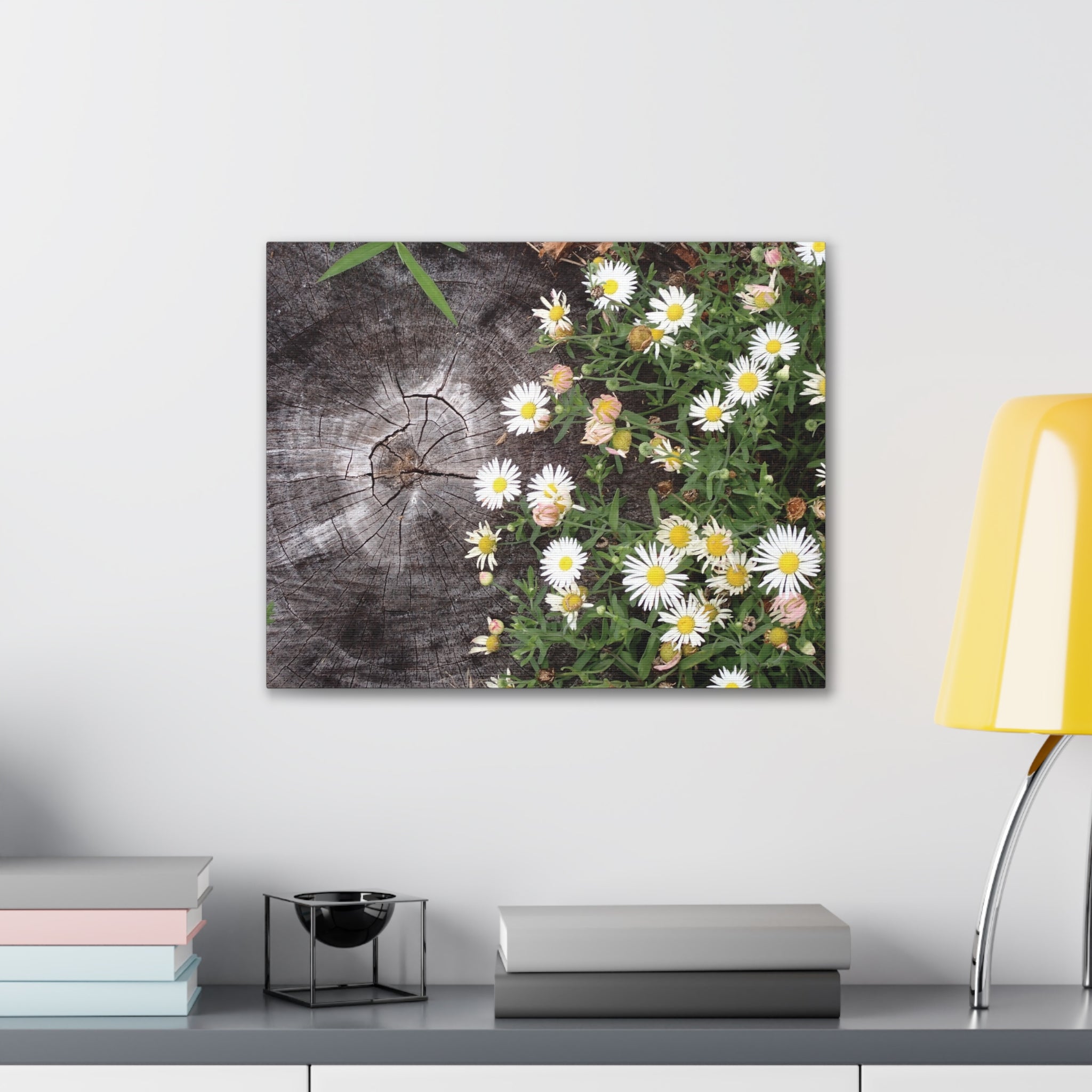 Daisies on Weathered Wood Canvas Wall Art