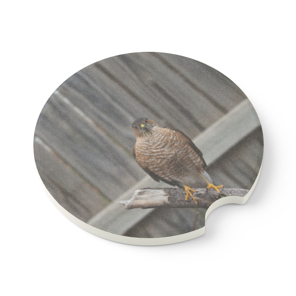Car Coaster — Soapstone Round Cup Holder Insert with  Hawk Photo