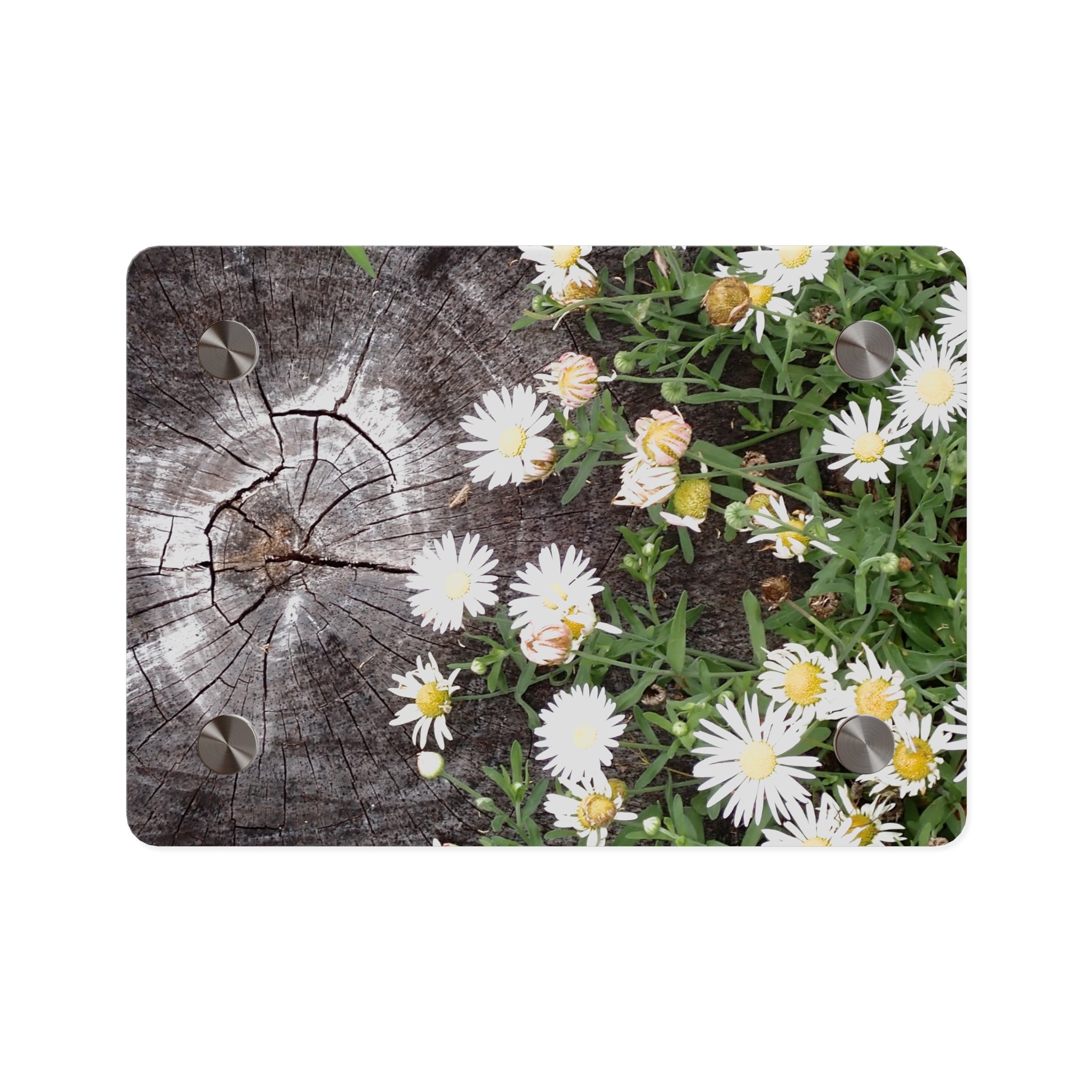 Daisy & Weathered Wood Acrylic Wall Art Panel – Rustic Floral Home Décor