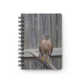 Cooper's Hawk Spiral Notebook — Wildlife Photography Journal