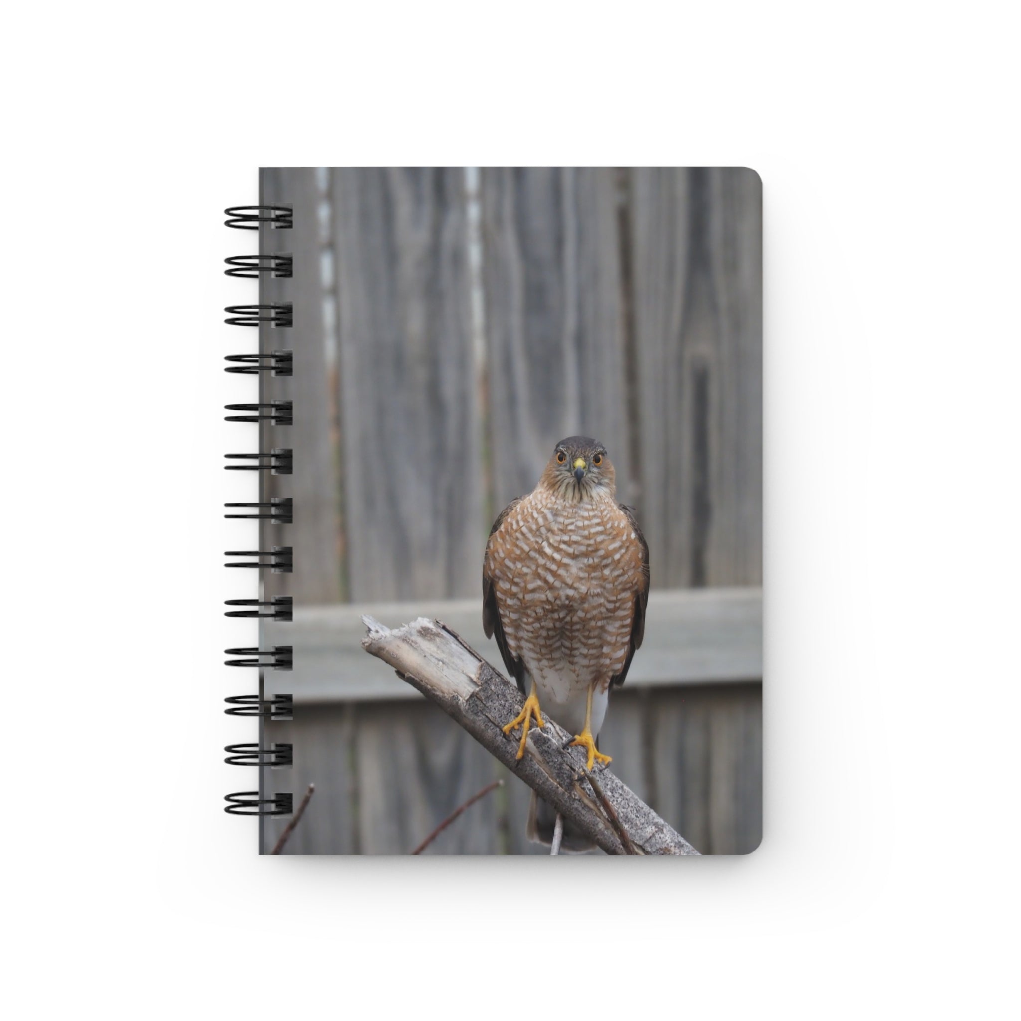 Cooper's Hawk Spiral Notebook — Wildlife Photography Journal