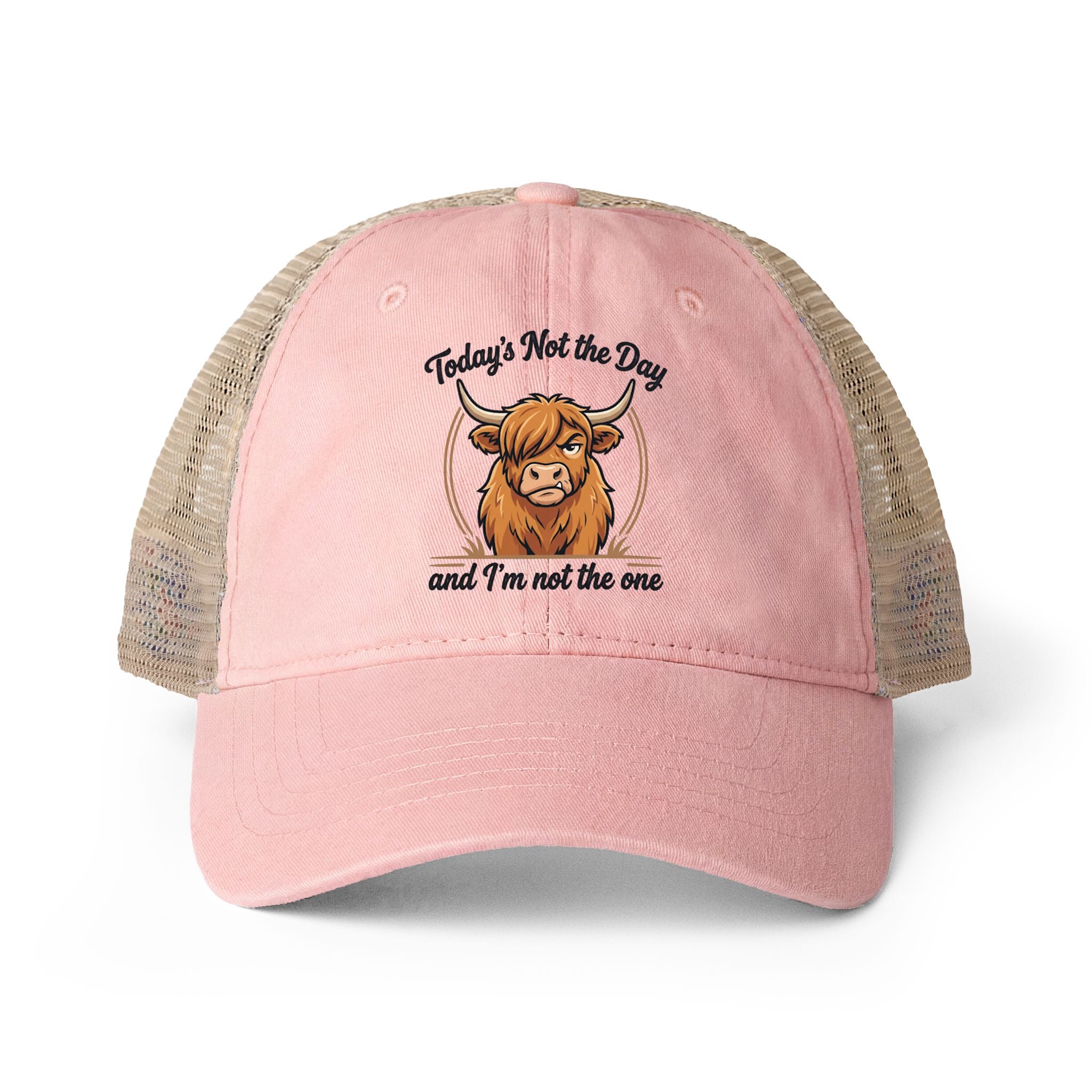 Todays not the Day Women's Washed Mesh-Back Cap