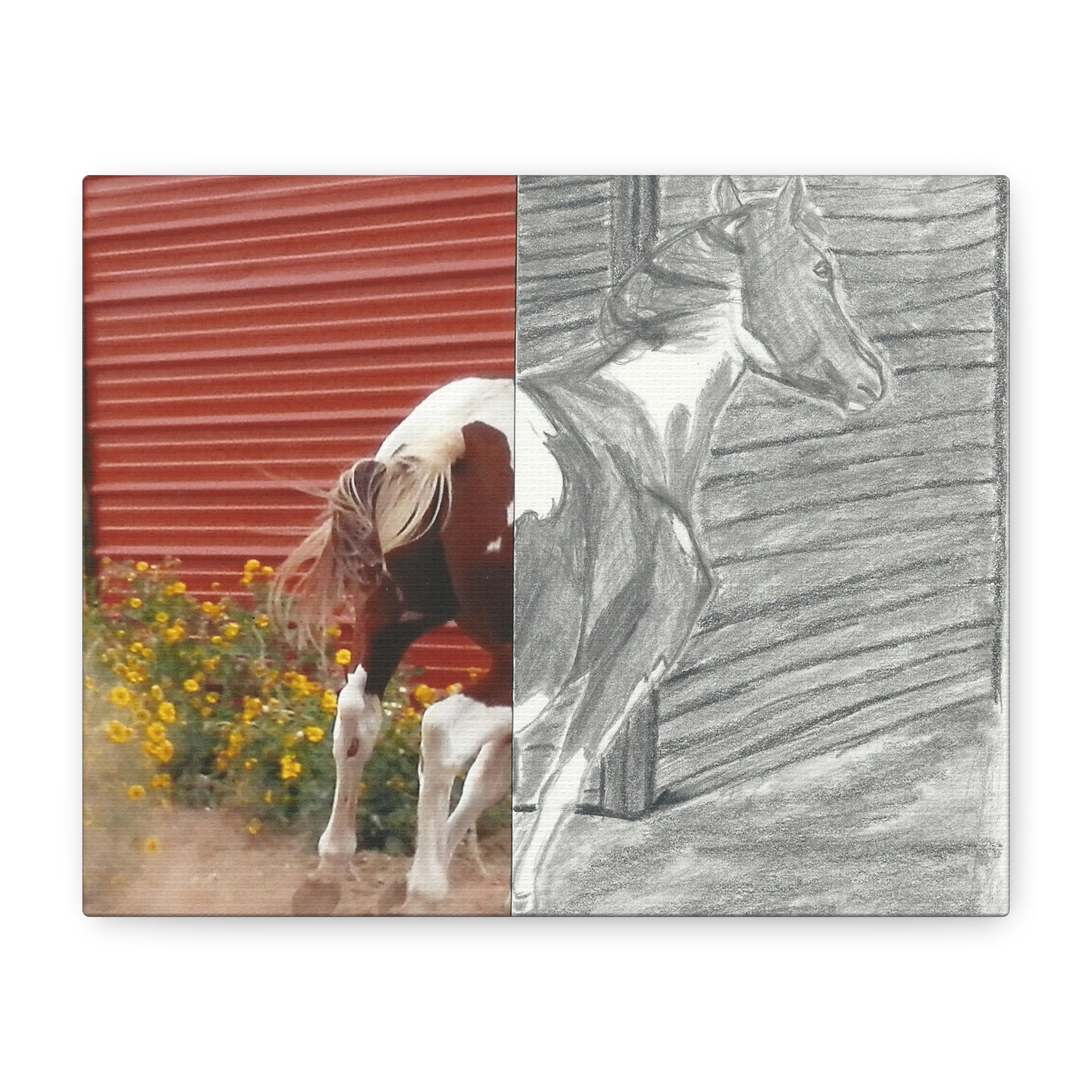 Half-Photo Half-Sketch Horse Canvas - Rustic Red Barn Wall Art