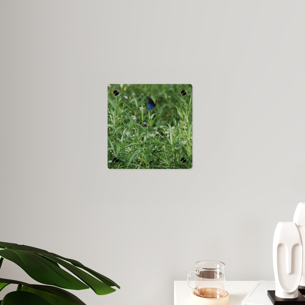 Acrylic Wall Art Panel – Blue Butterfly in Wildflower Meadow