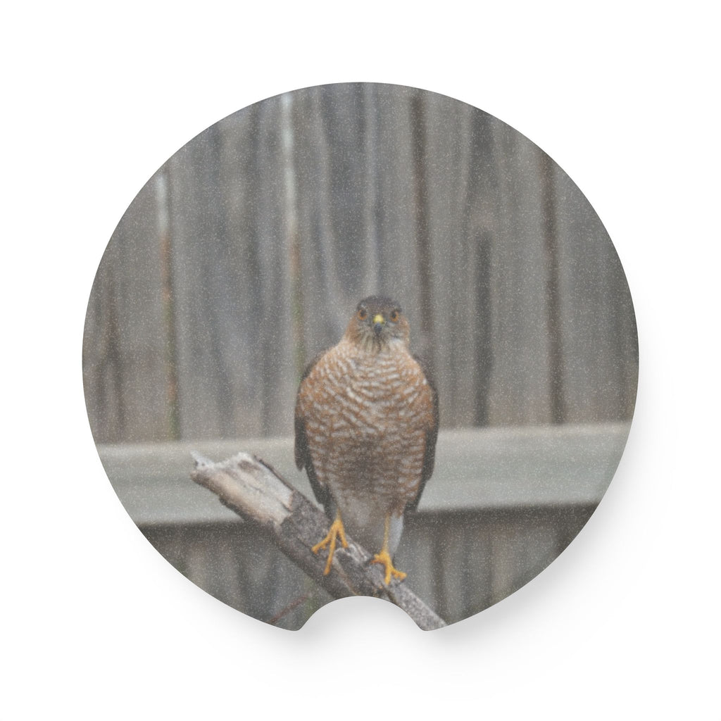 Car Coaster — Soapstone Round Cup Holder Insert with  Hawk Photo
