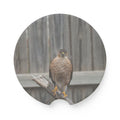 Car Coaster — Soapstone Round Cup Holder Insert with  Hawk Photo