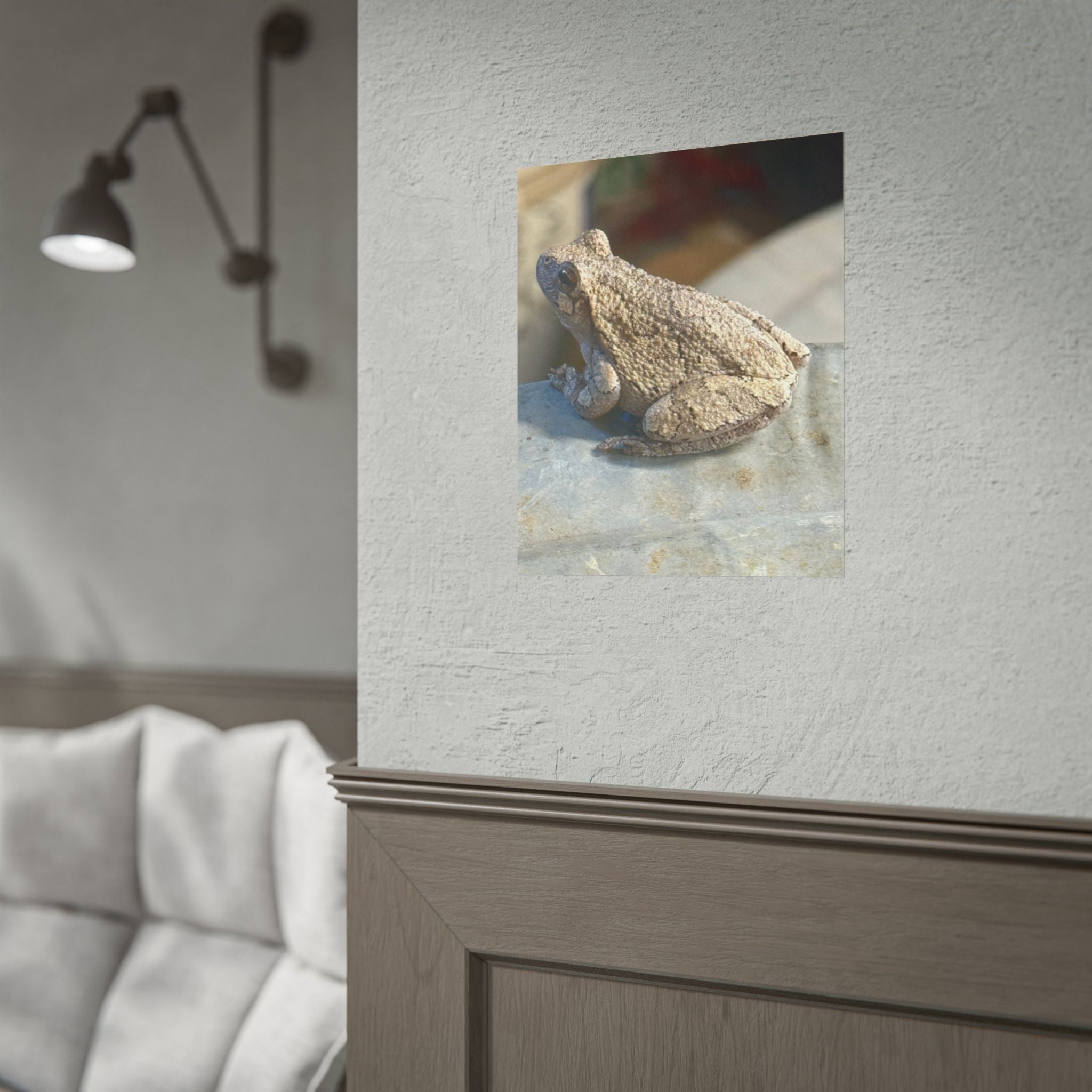 Tree Frog Photography Poster – Nature Wildlife Rolled Wall Art