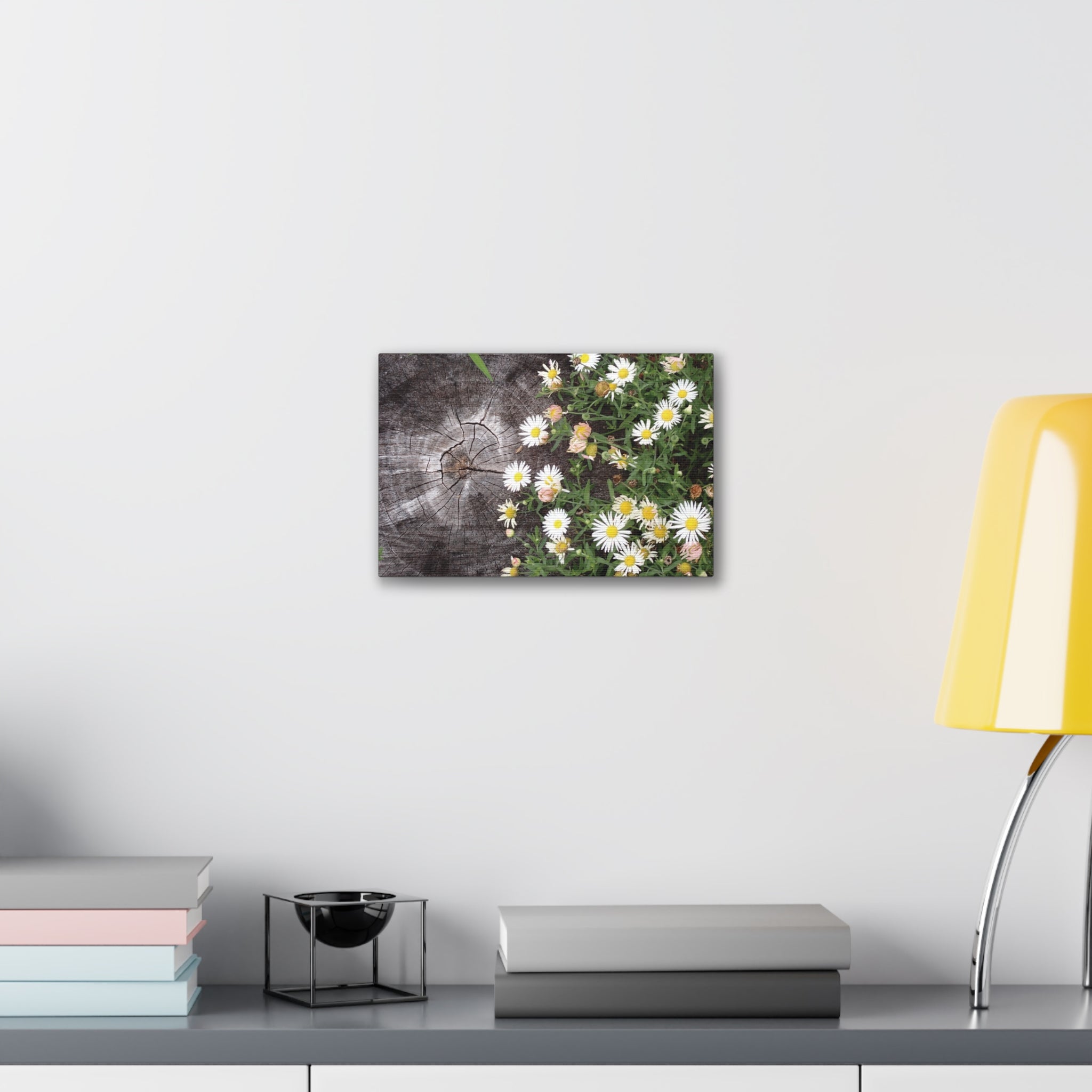 Daisies on Weathered Wood Canvas Wall Art