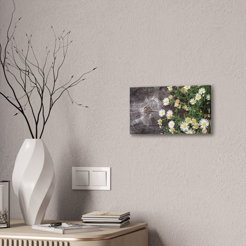 Daisies on Weathered Wood Canvas Wall Art