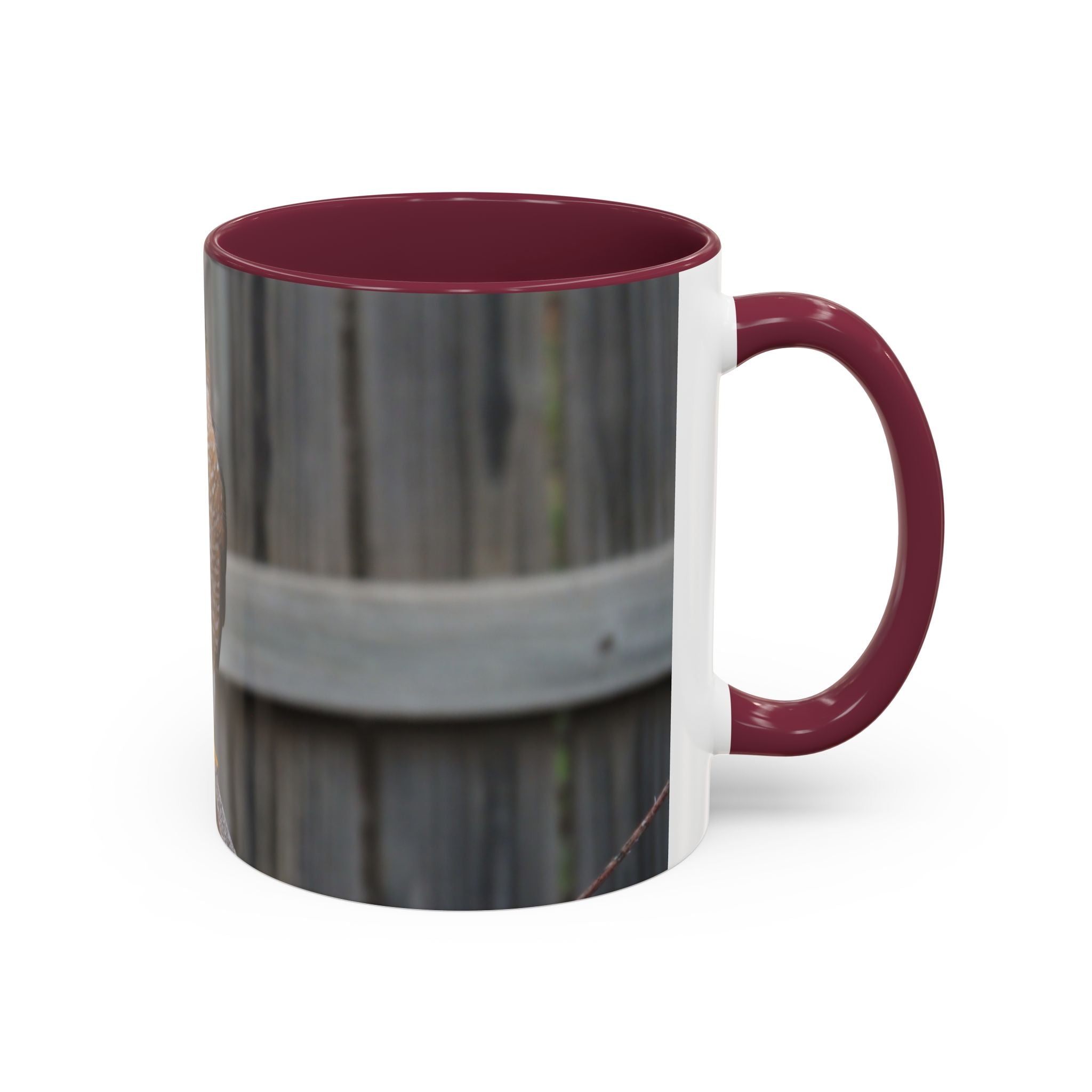 Hawk Photo Mug (11oz/15oz) — Wildlife Coffee Cup with Sharp-Shinned Hawk Image