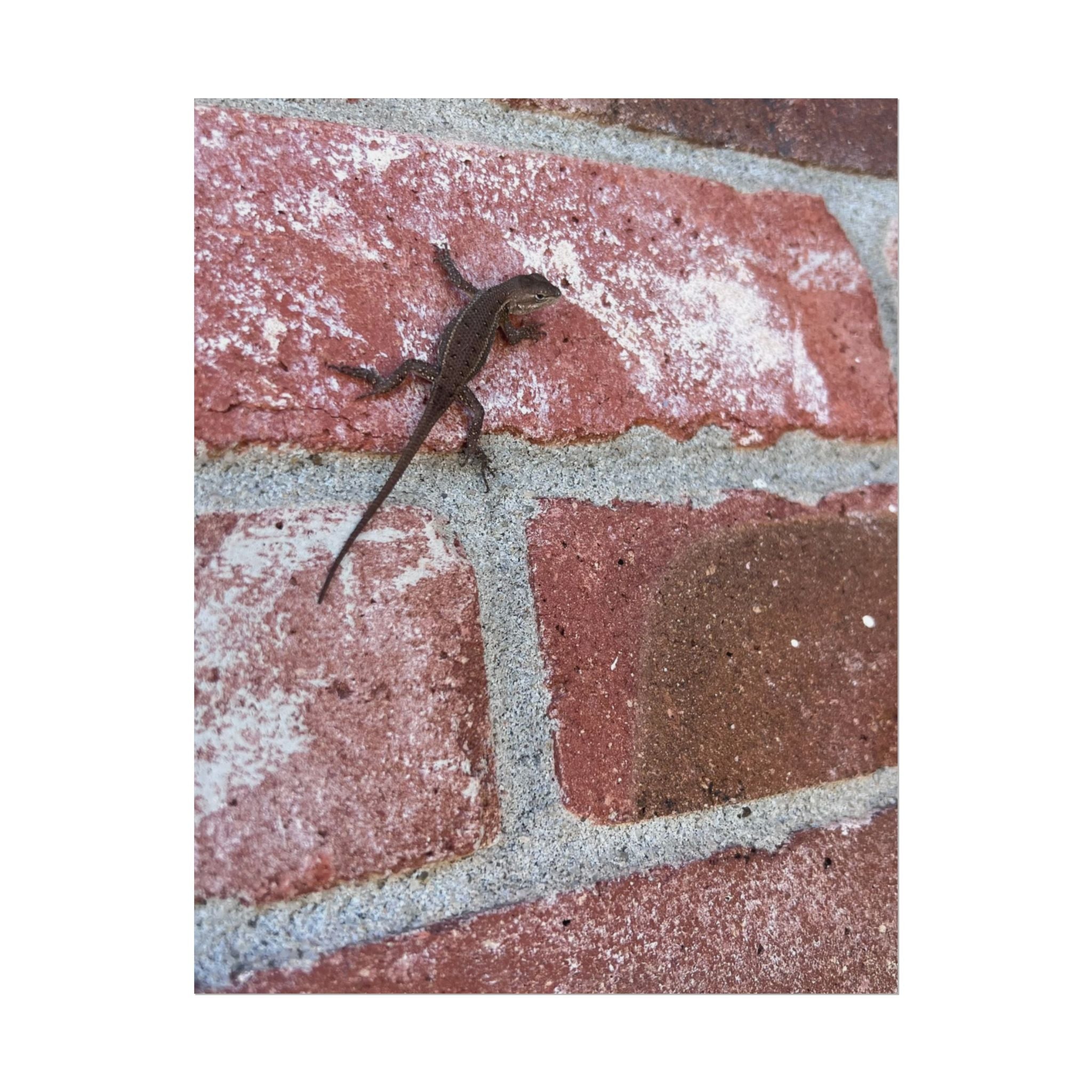 Lizard on Brick Wall Rolled Poster — Nature Photography Wall Art