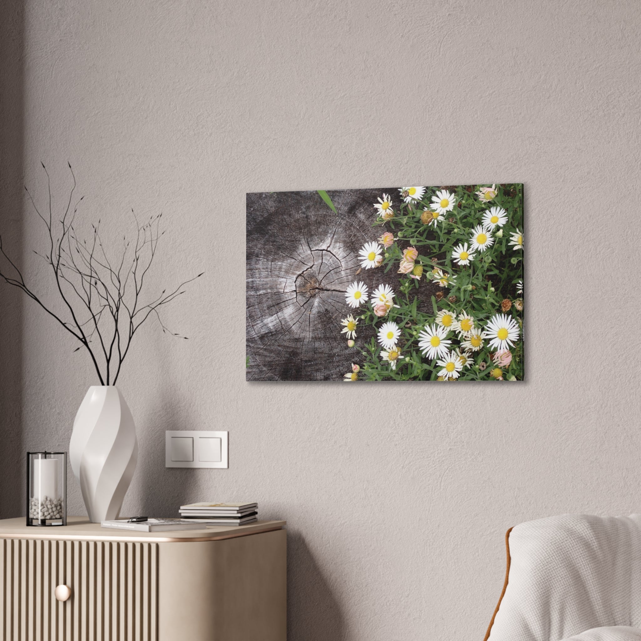 Daisies on Weathered Wood Canvas Wall Art