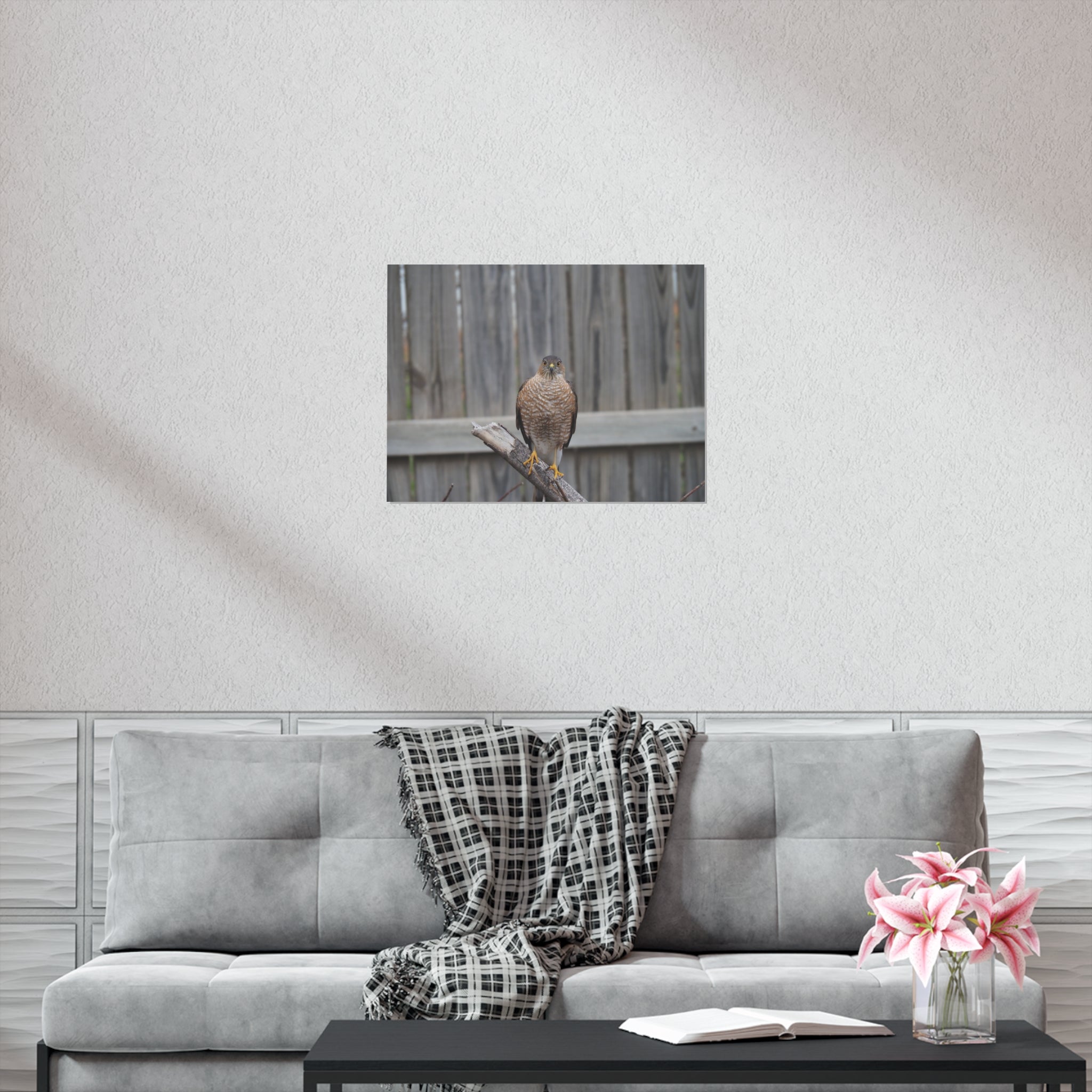 Sharp-Shinned Hawk Photo Poster — Wild Bird Wall Art Print