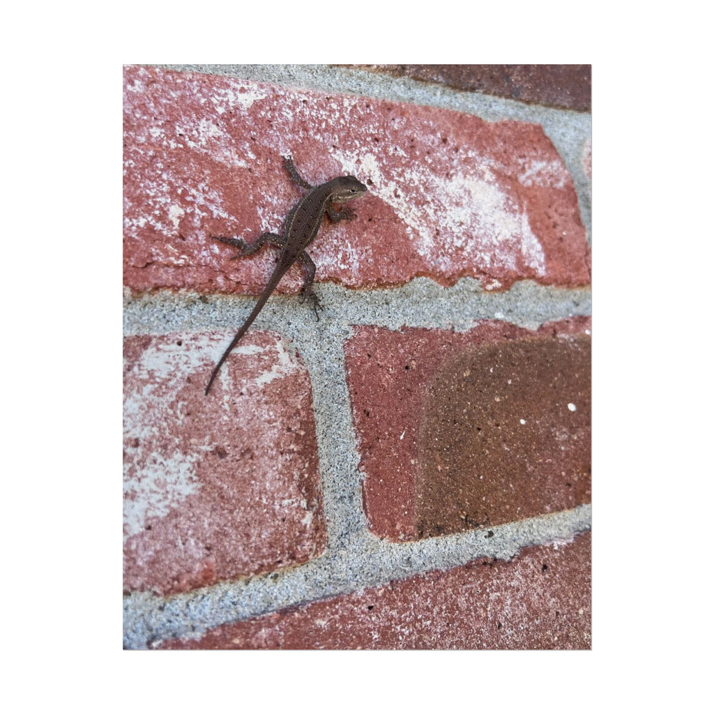 Lizard on Brick Wall Rolled Poster — Nature Photography Wall Art