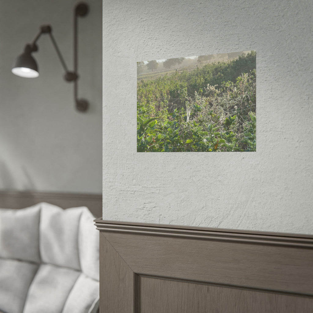 Morning Meadow Rolled Poster — Misty Wildflower Landscape Wall Art