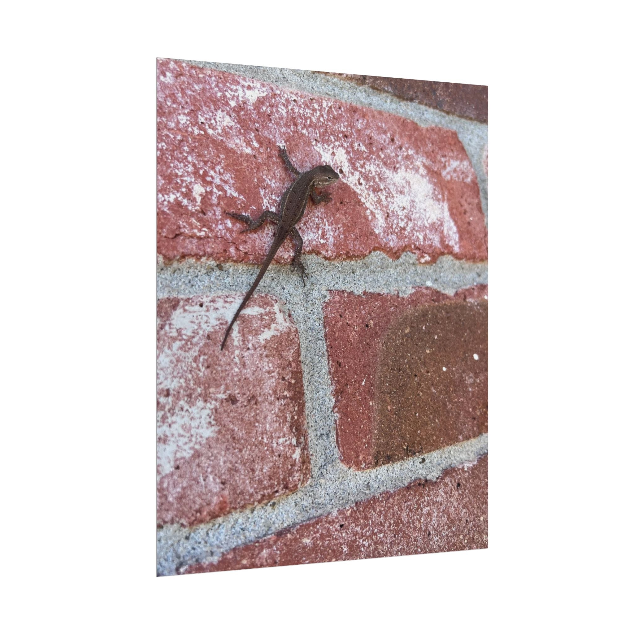 Lizard on Brick Wall Rolled Poster — Nature Photography Wall Art