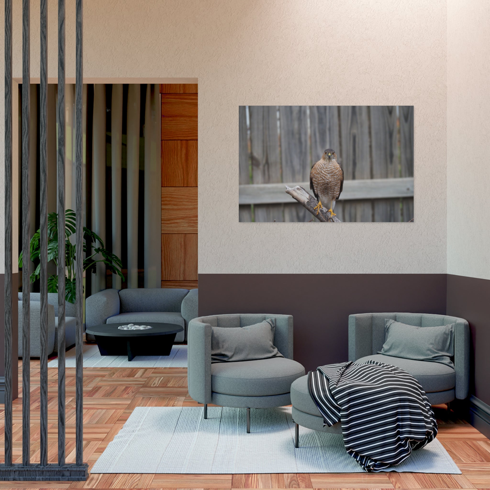 Sharp-Shinned Hawk Photo Poster — Wild Bird Wall Art Print