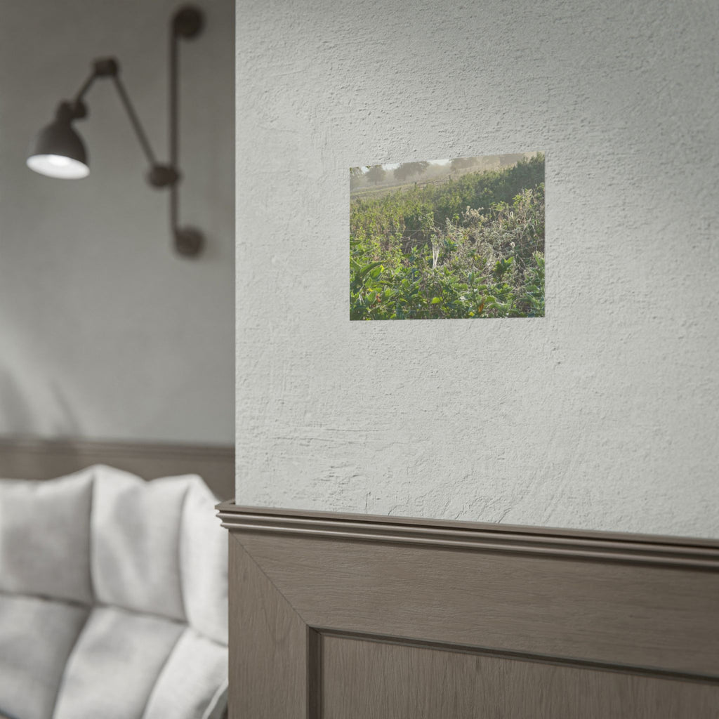 Morning Meadow Rolled Poster — Misty Wildflower Landscape Wall Art