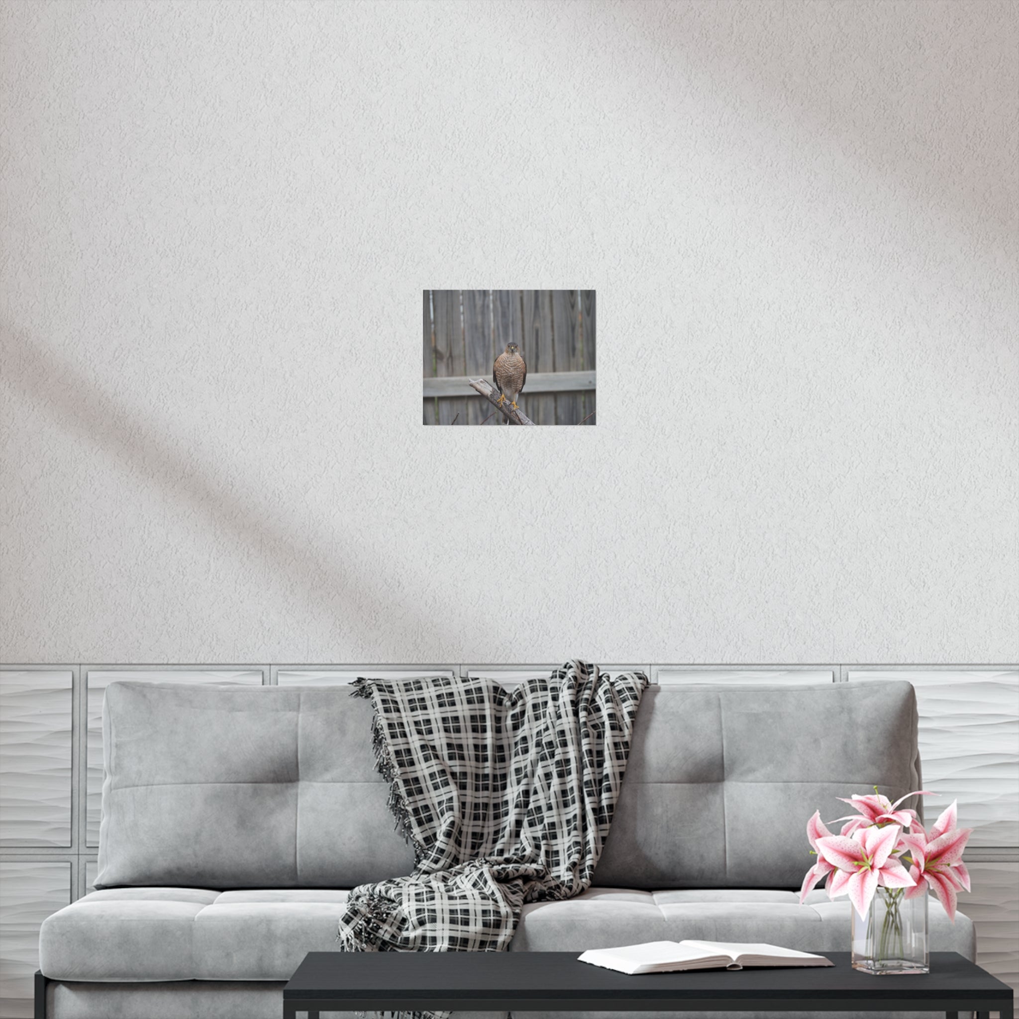 Sharp-Shinned Hawk Photo Poster — Wild Bird Wall Art Print