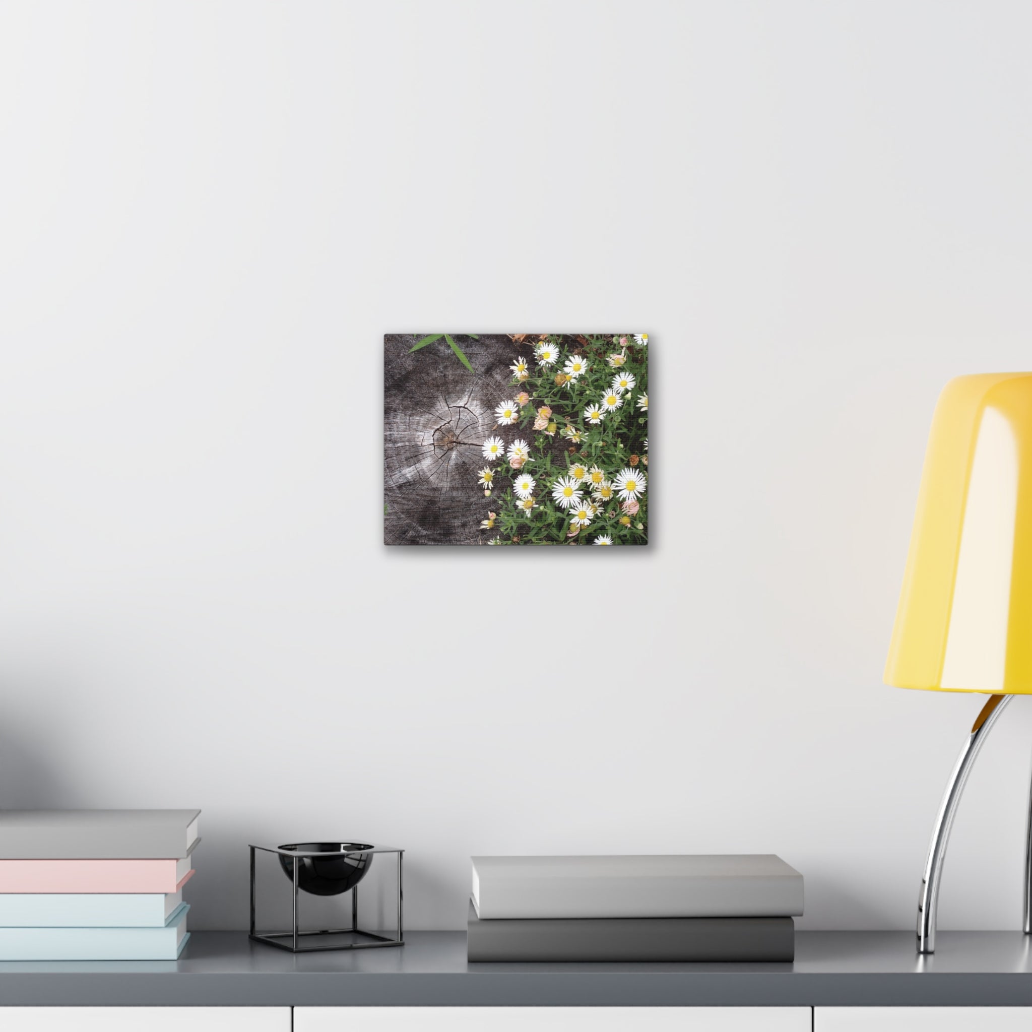 Daisies on Weathered Wood Canvas Wall Art