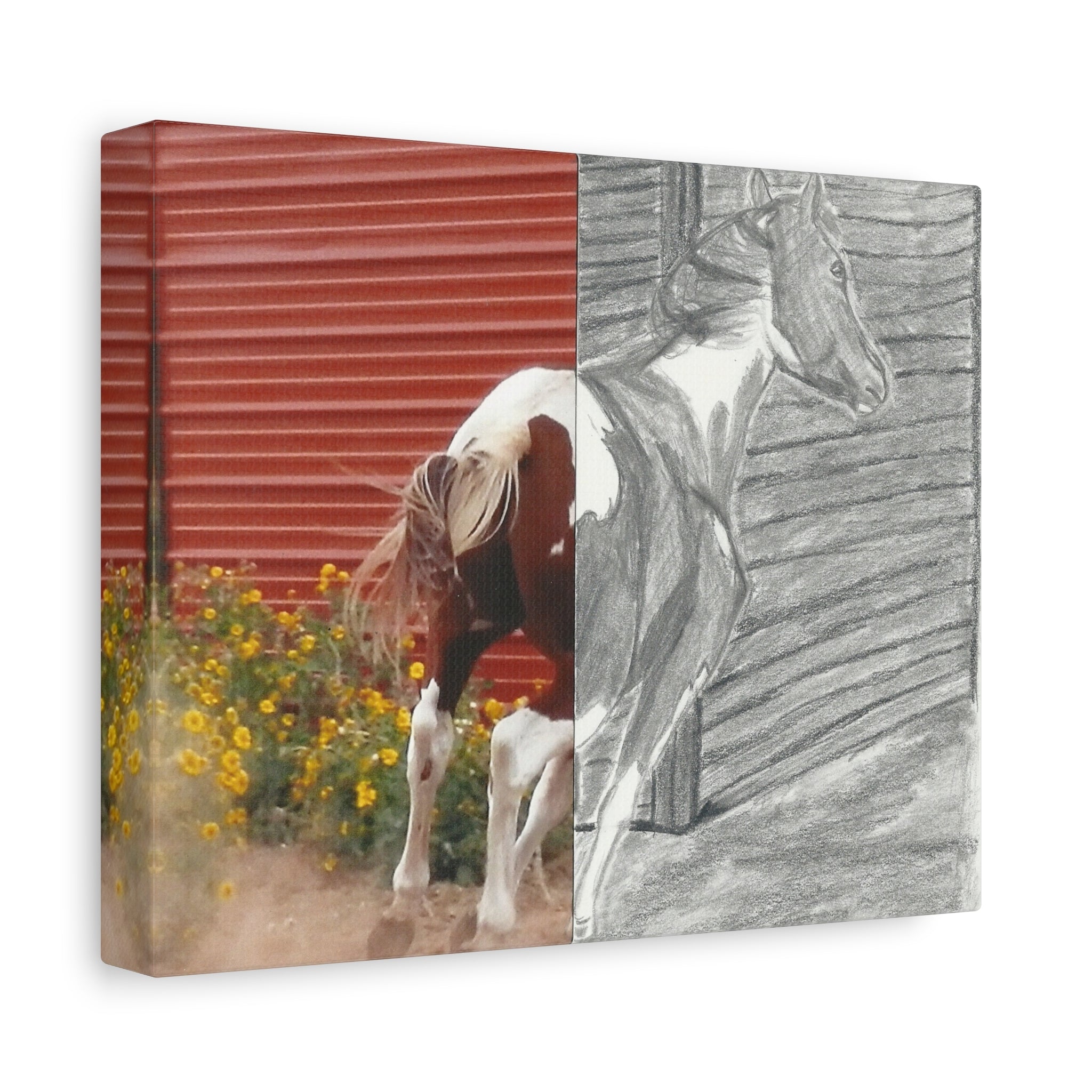 Half-Photo Half-Sketch Horse Canvas - Rustic Red Barn Wall Art