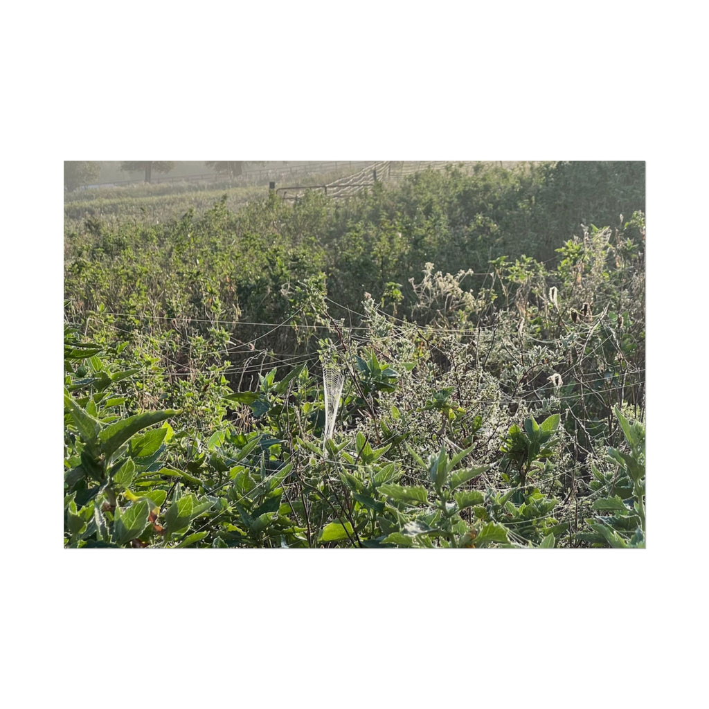 Morning Meadow Rolled Poster — Misty Wildflower Landscape Wall Art
