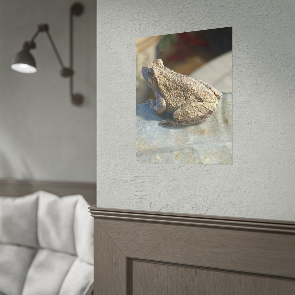 Tree Frog Photography Poster – Nature Wildlife Rolled Wall Art