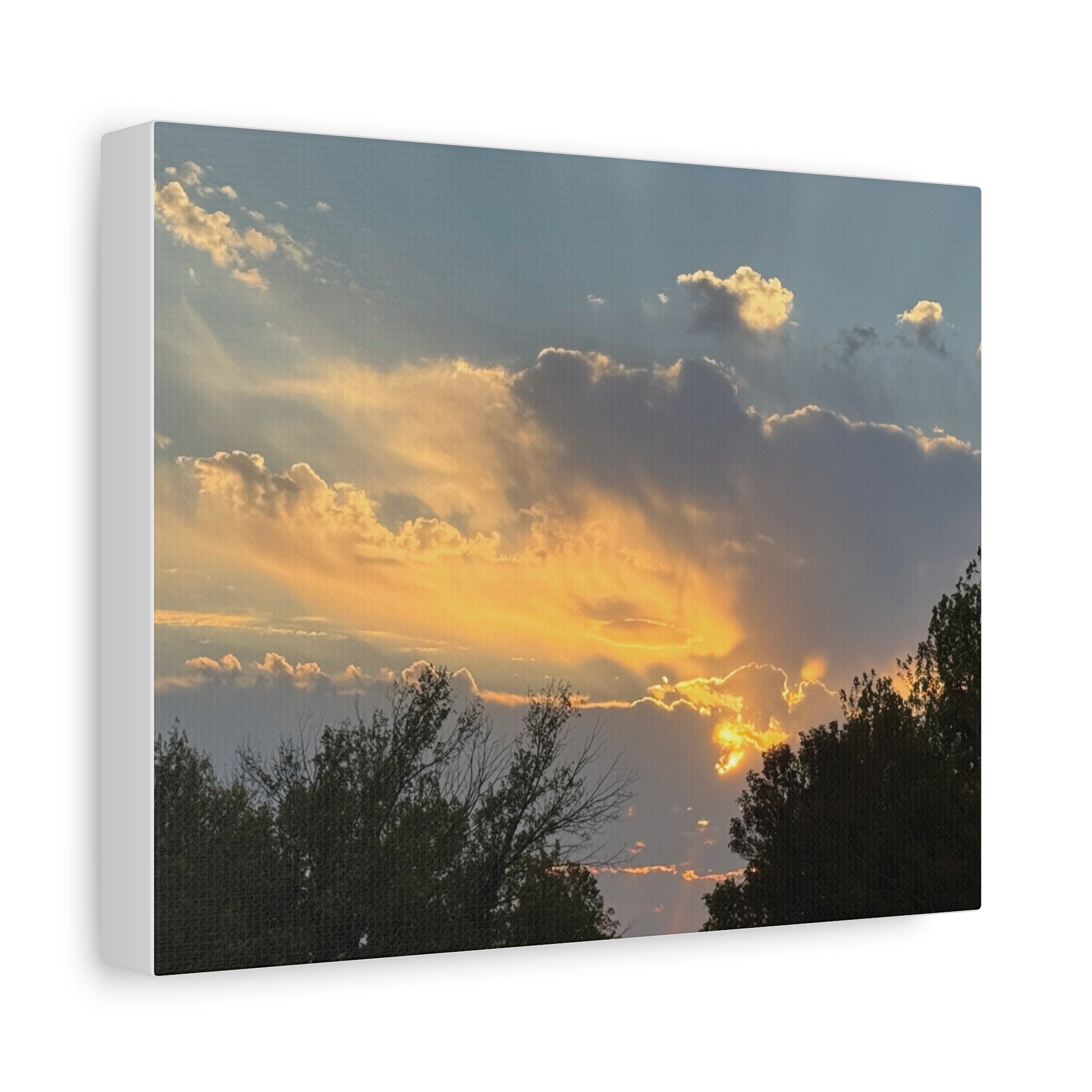 Matte Canvas, Stretched, 1.25"