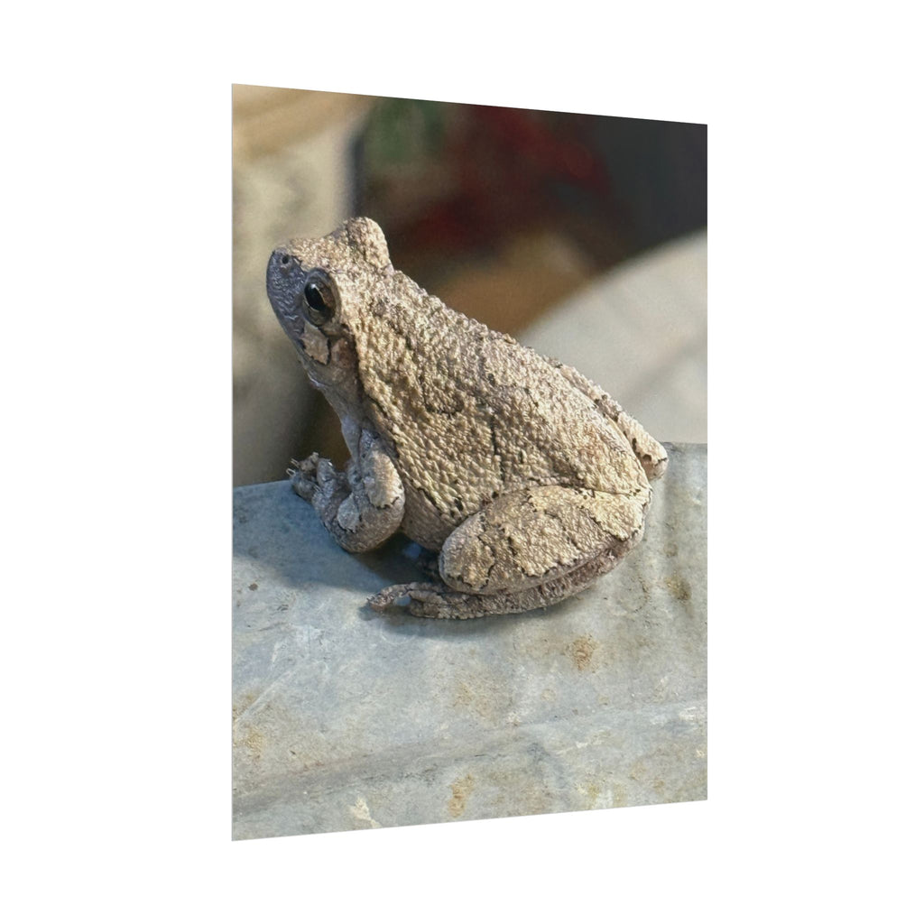 Tree Frog Photography Poster – Nature Wildlife Rolled Wall Art