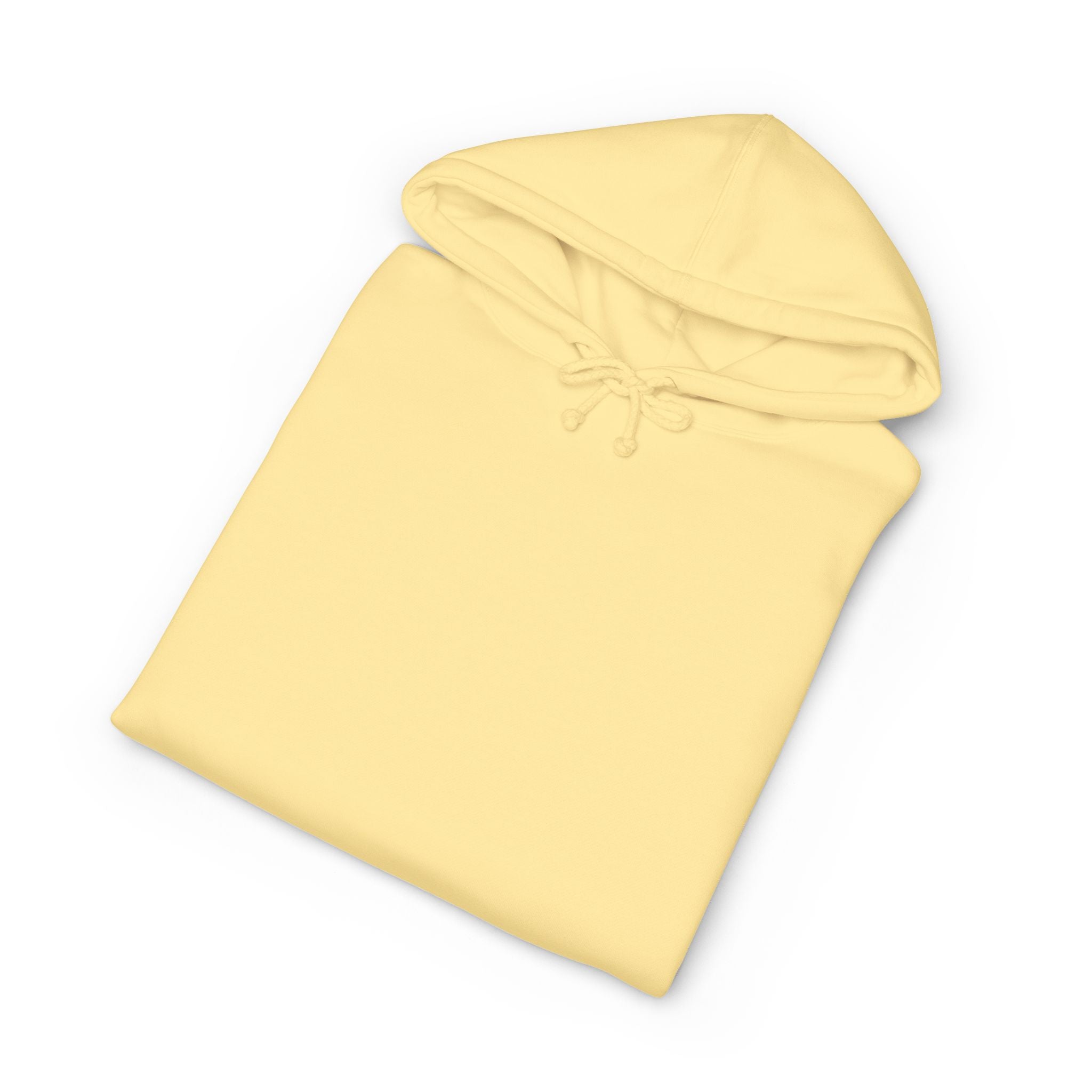 Hoodie — "Today's Not the Day" Highland Cow Graphic Hoodie