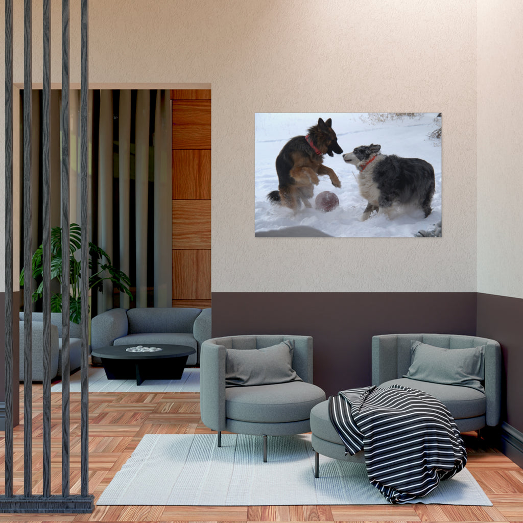 Dog Playful Winter Photo Poster — Two Dogs Playing in Snow Wall Art