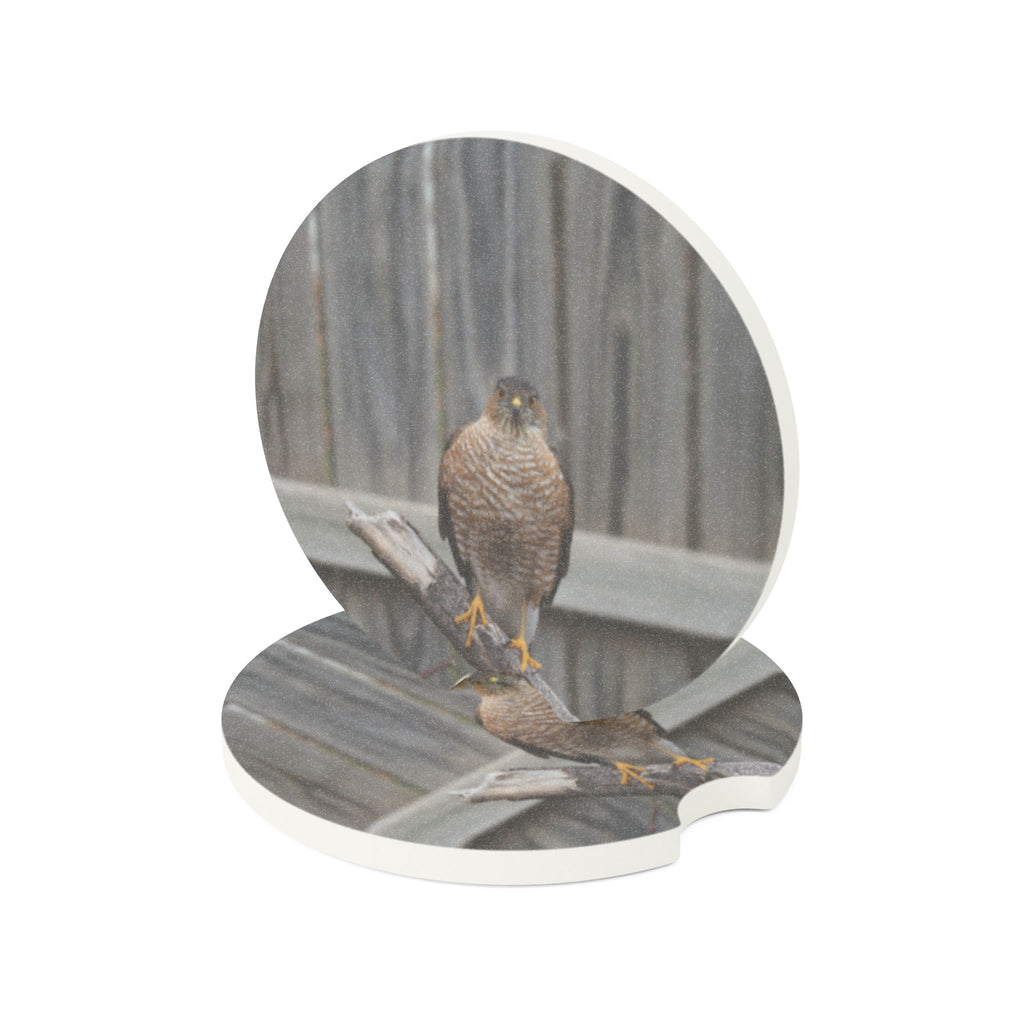 Car Coaster — Soapstone Round Cup Holder Insert with  Hawk Photo