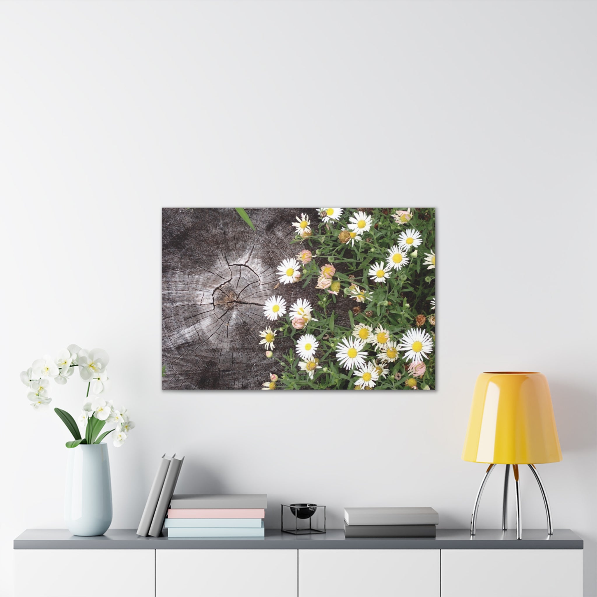 Daisies on Weathered Wood Canvas Wall Art