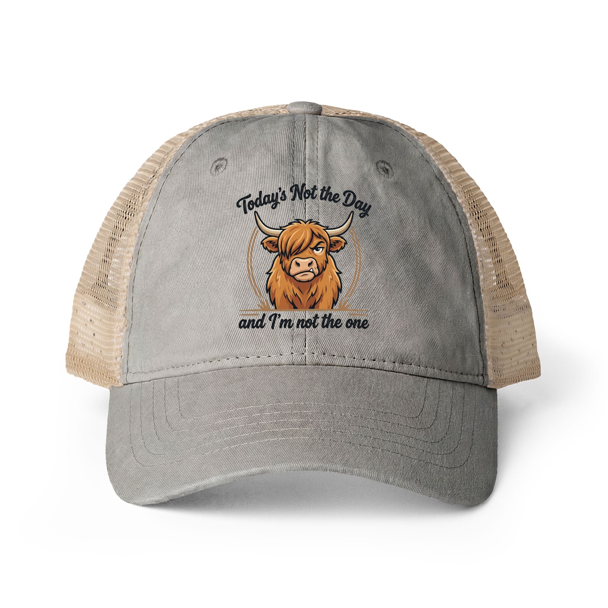 Todays not the Day Women's Washed Mesh-Back Cap