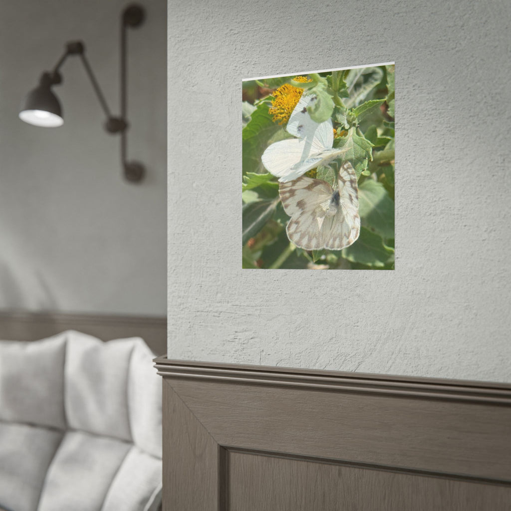 Butterfly Close-Up Rolled Poster — Nature Photography Wall Art