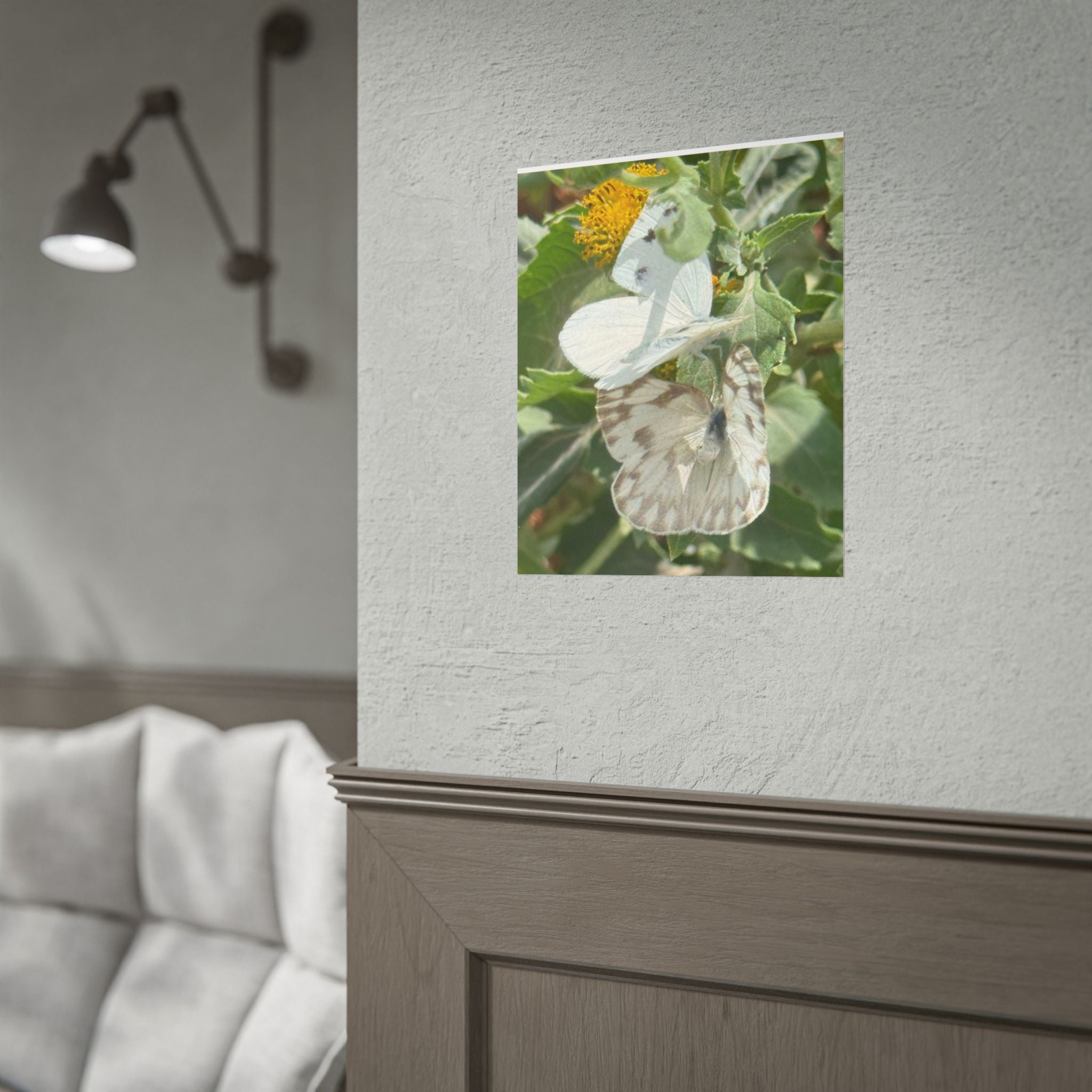 Butterfly Close-Up Rolled Poster — Nature Photography Wall Art