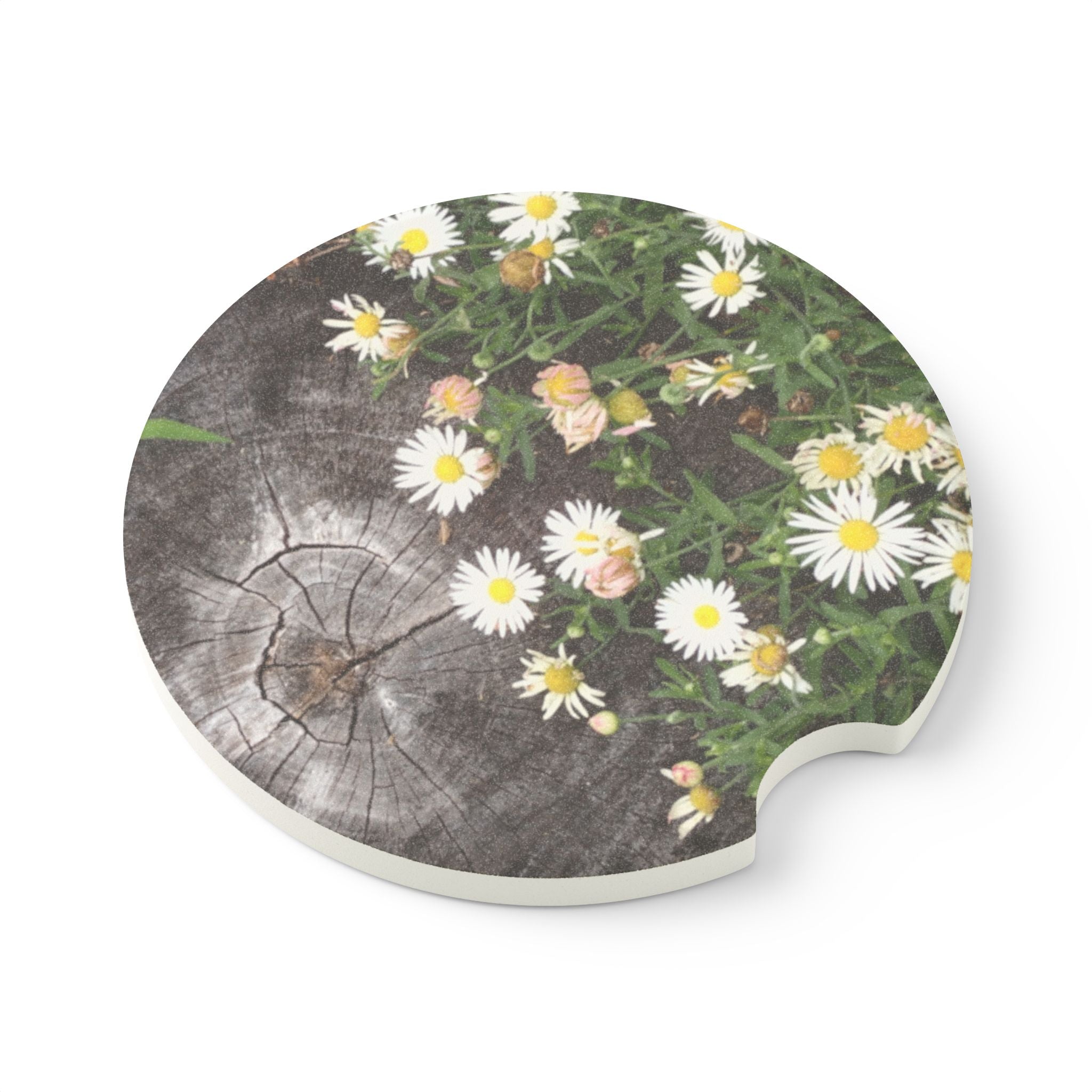 Daisy Meadow Soapstone Car Coaster — Floral Car Cupholder Absorbent Coaster
