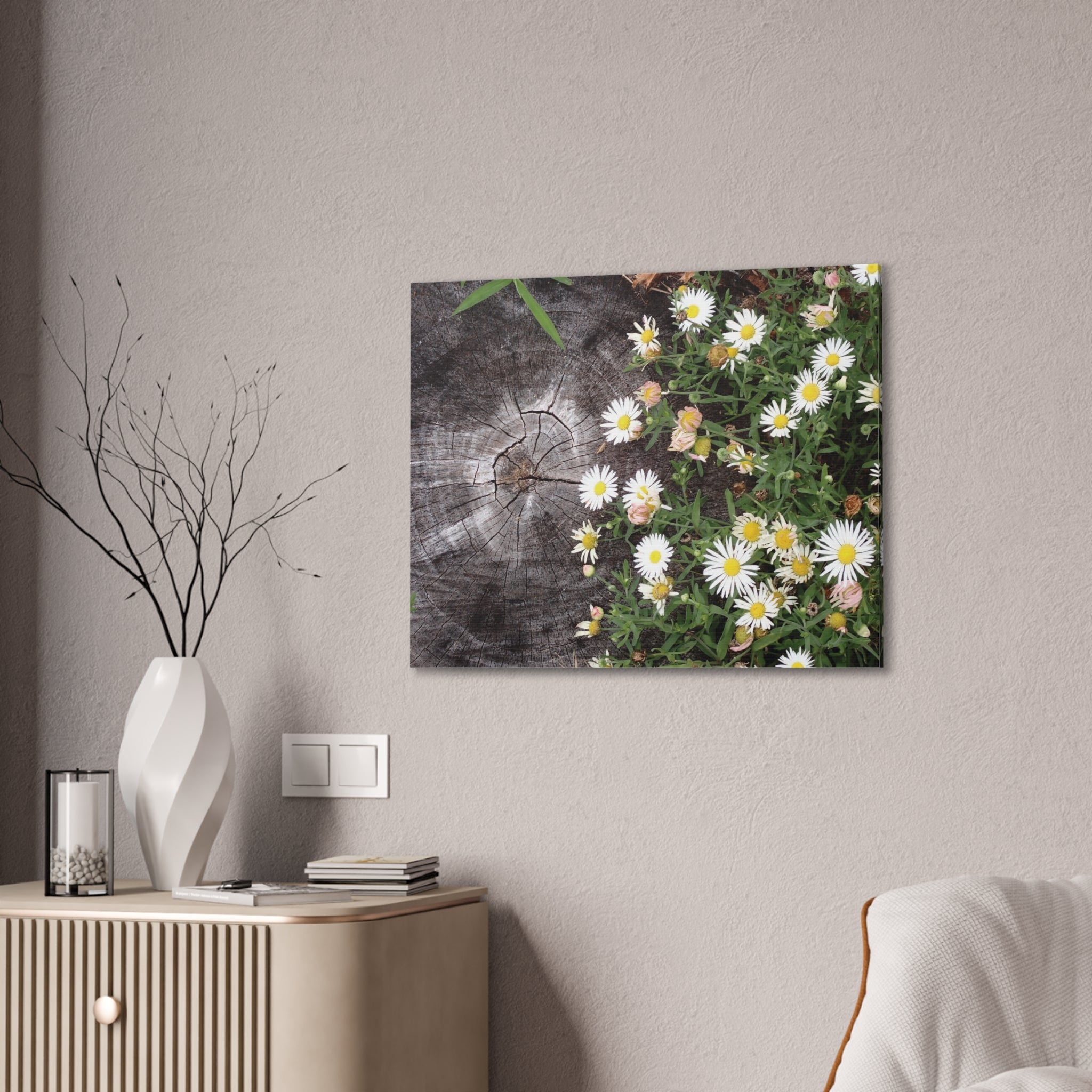 Daisies on Weathered Wood Canvas Wall Art