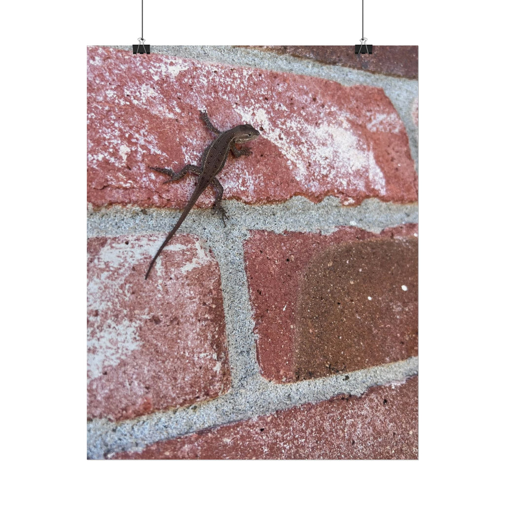 Lizard on Brick Wall Rolled Poster — Nature Photography Wall Art