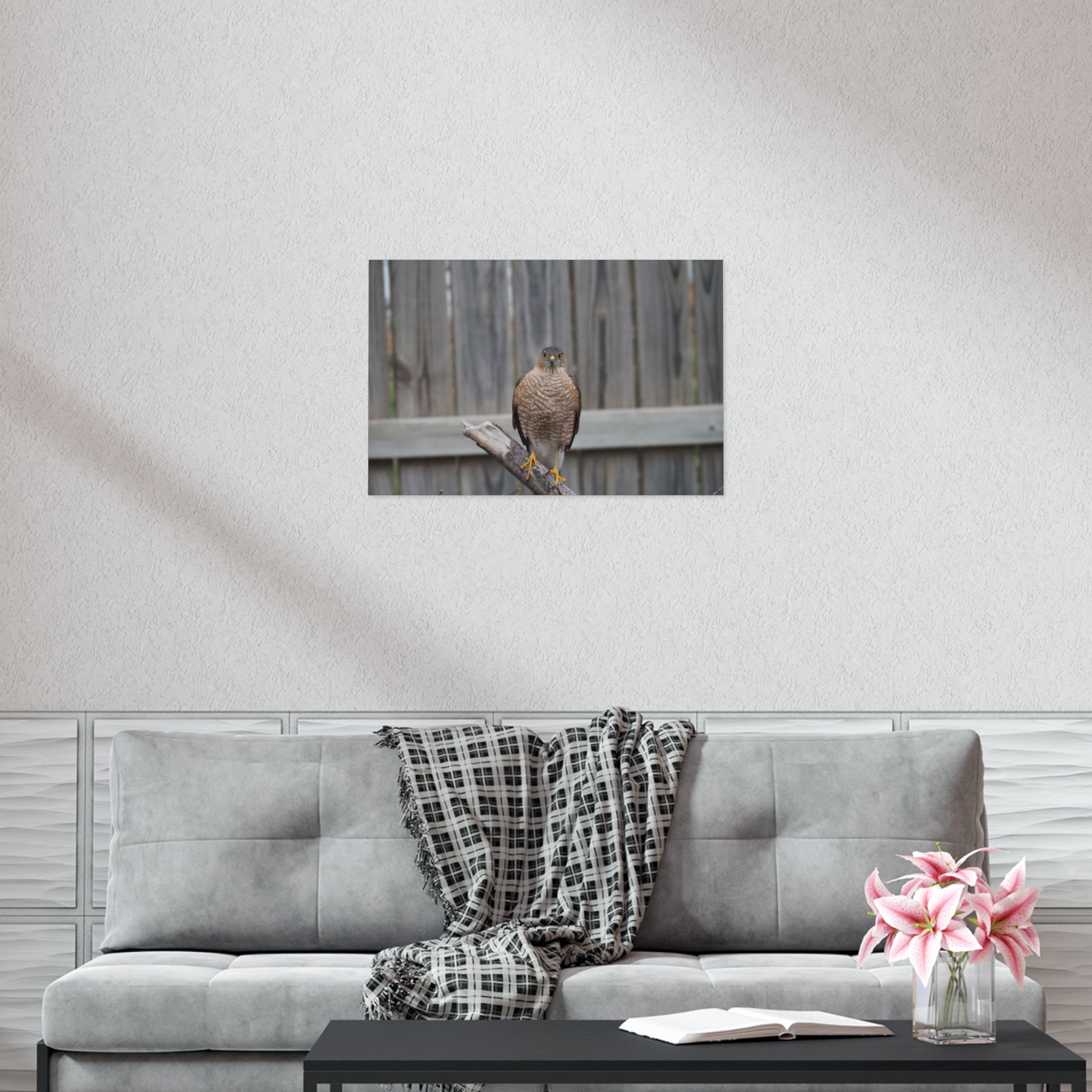 Sharp-Shinned Hawk Photo Poster — Wild Bird Wall Art Print