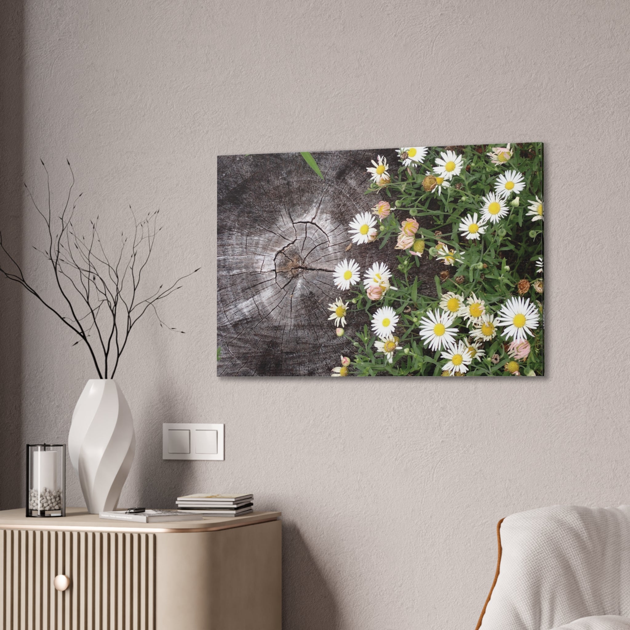 Daisies on Weathered Wood Canvas Wall Art