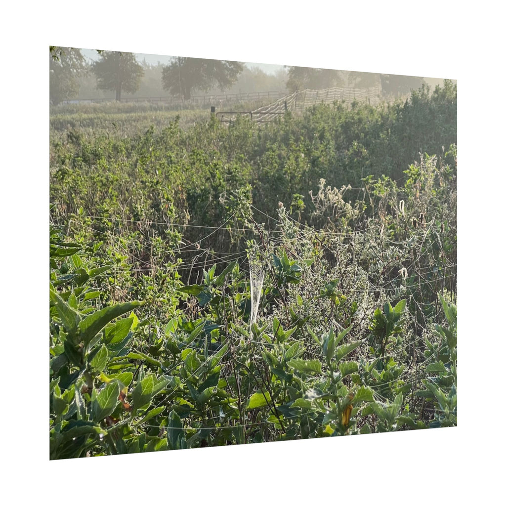 Morning Meadow Rolled Poster — Misty Wildflower Landscape Wall Art