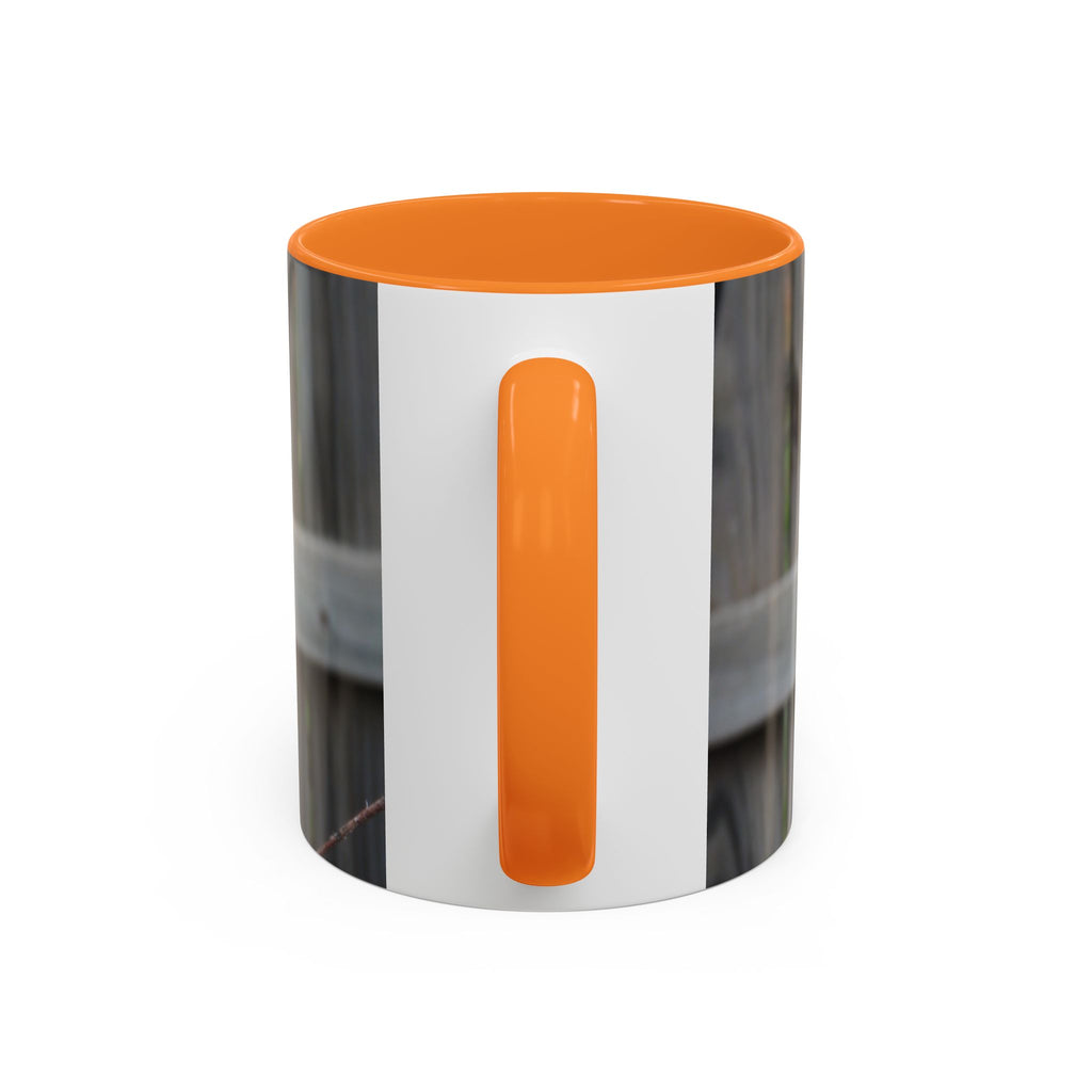 Hawk Photo Mug (11oz/15oz) — Wildlife Coffee Cup with Sharp-Shinned Hawk Image