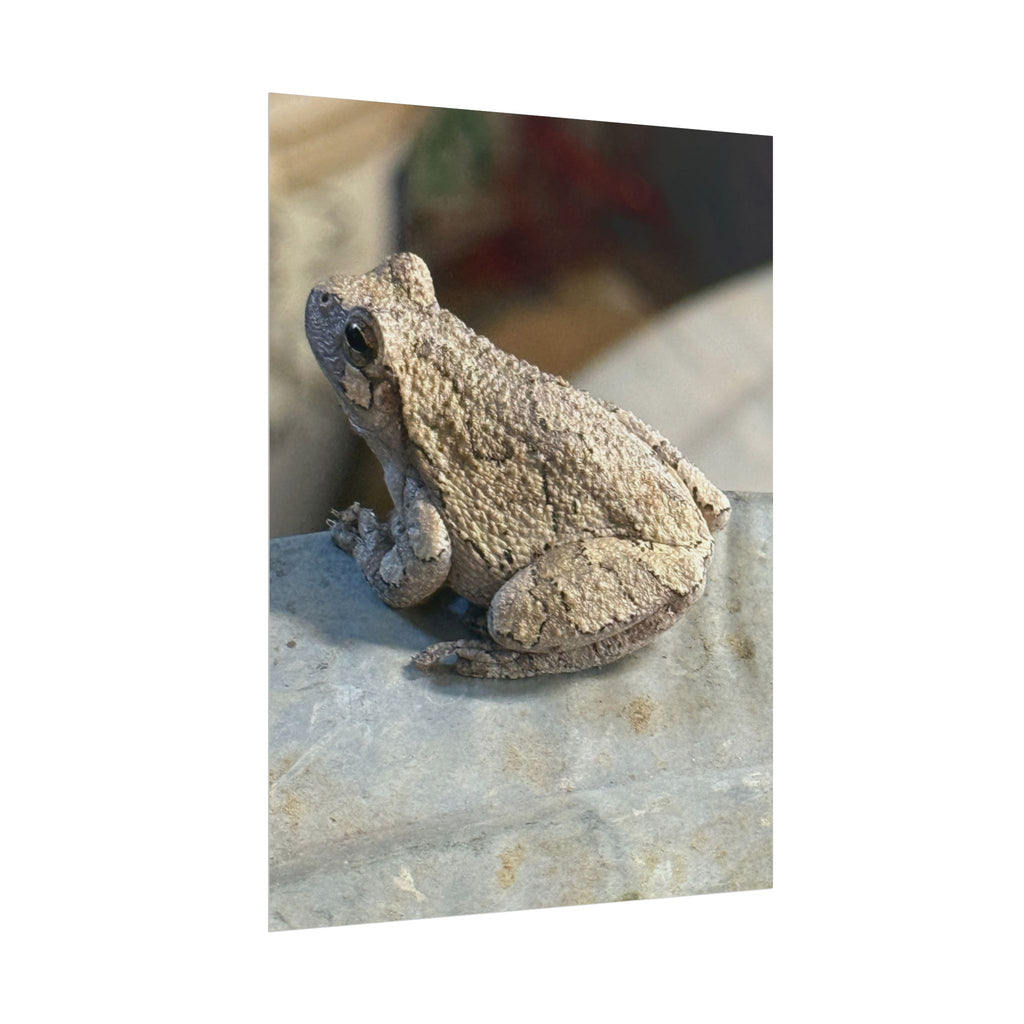 Tree Frog Photography Poster – Nature Wildlife Rolled Wall Art