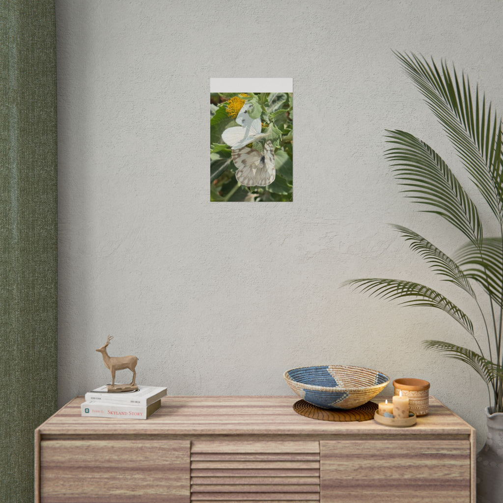 Butterfly Close-Up Rolled Poster — Nature Photography Wall Art