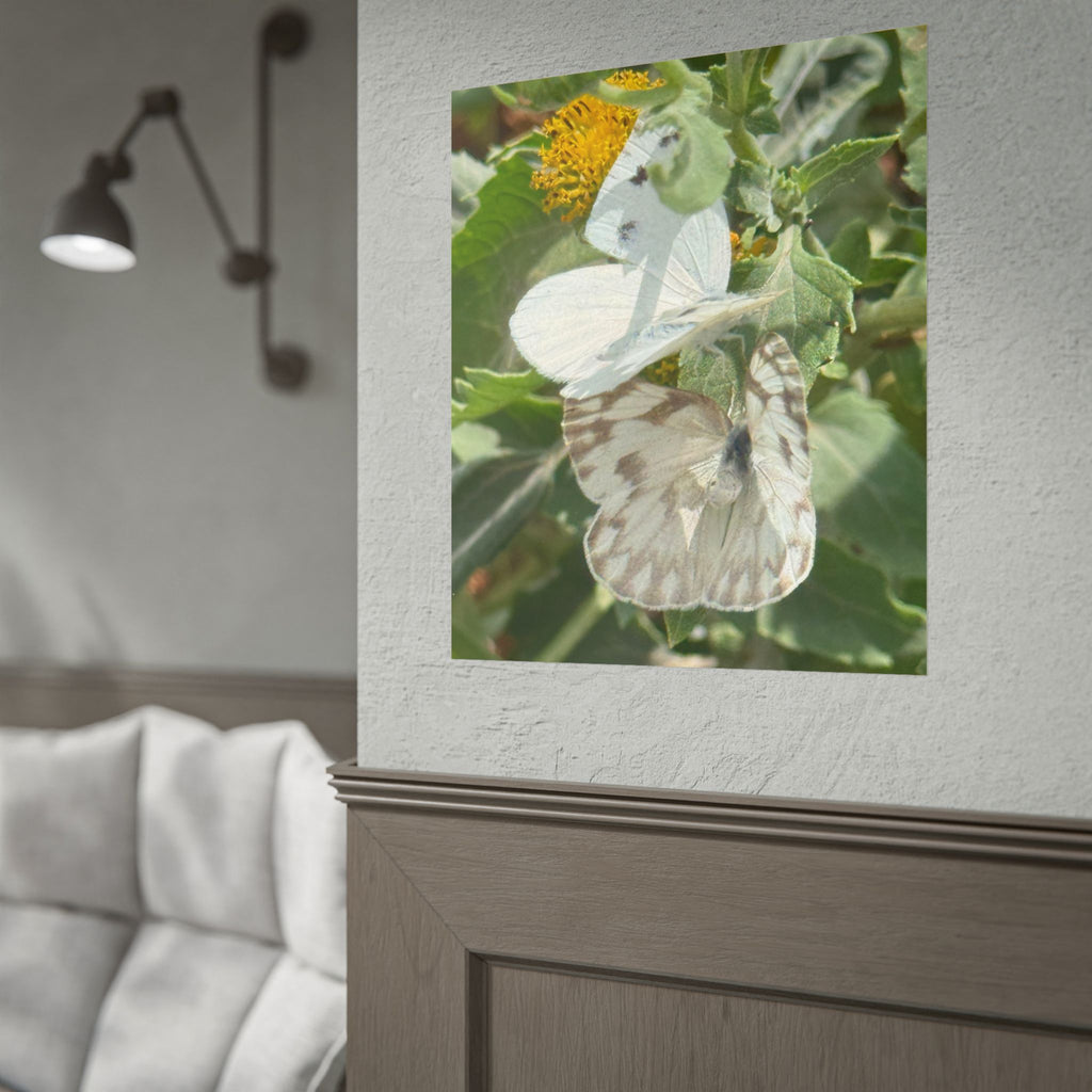 Butterfly Close-Up Rolled Poster — Nature Photography Wall Art