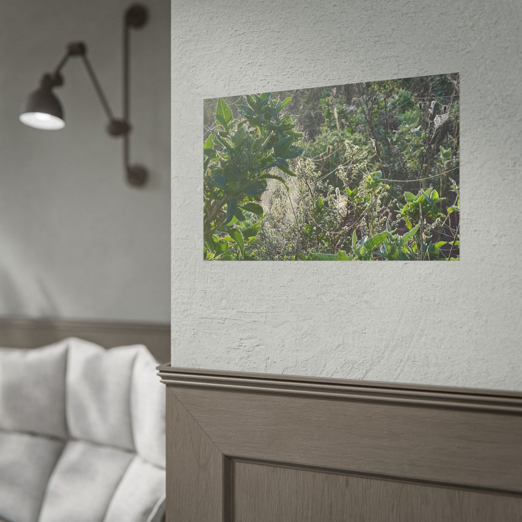 Botanical Greenery Poster — Wild Meadow Spider Web Rolled Art Print