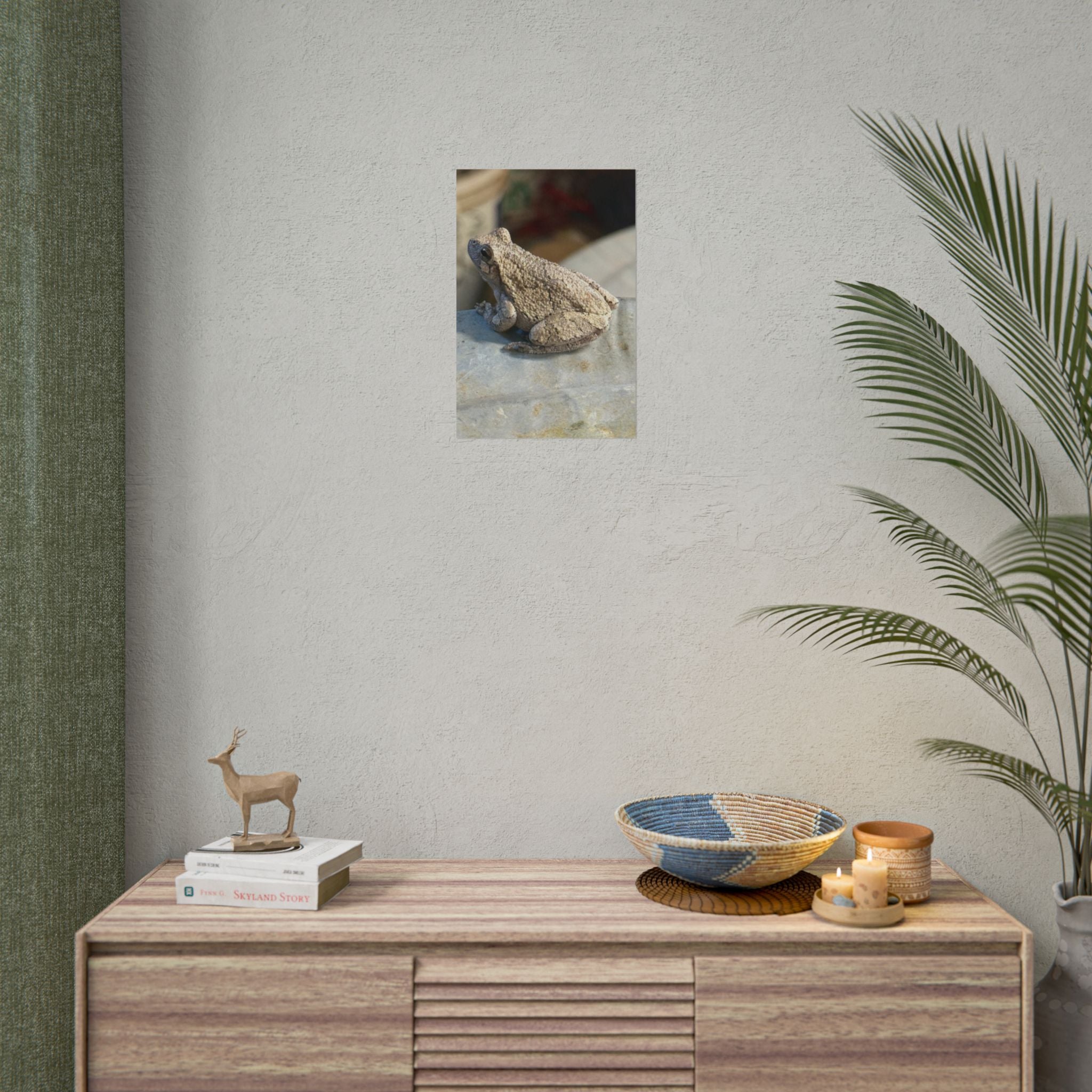 Tree Frog Photography Poster – Nature Wildlife Rolled Wall Art