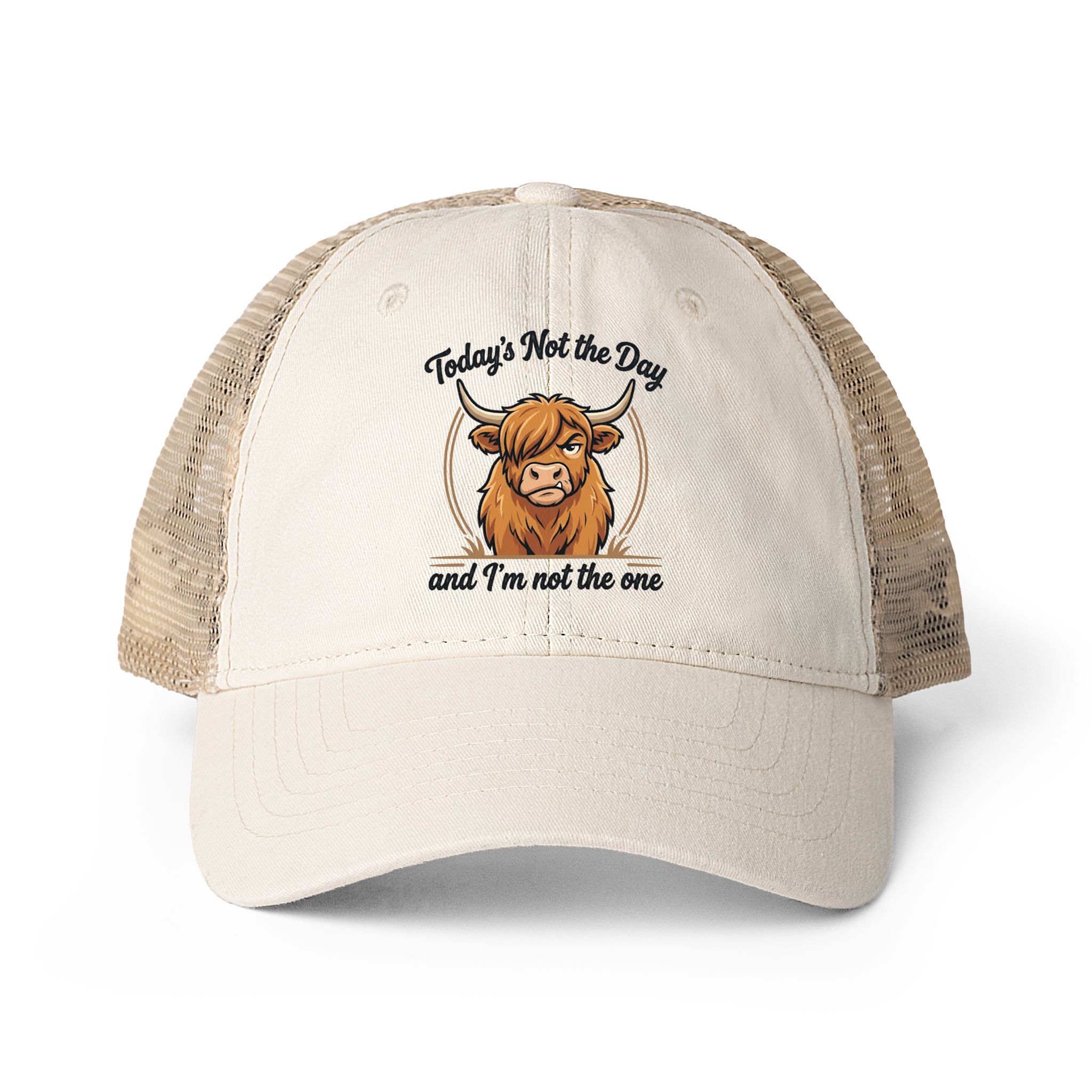 Todays not the Day Women's Washed Mesh-Back Cap