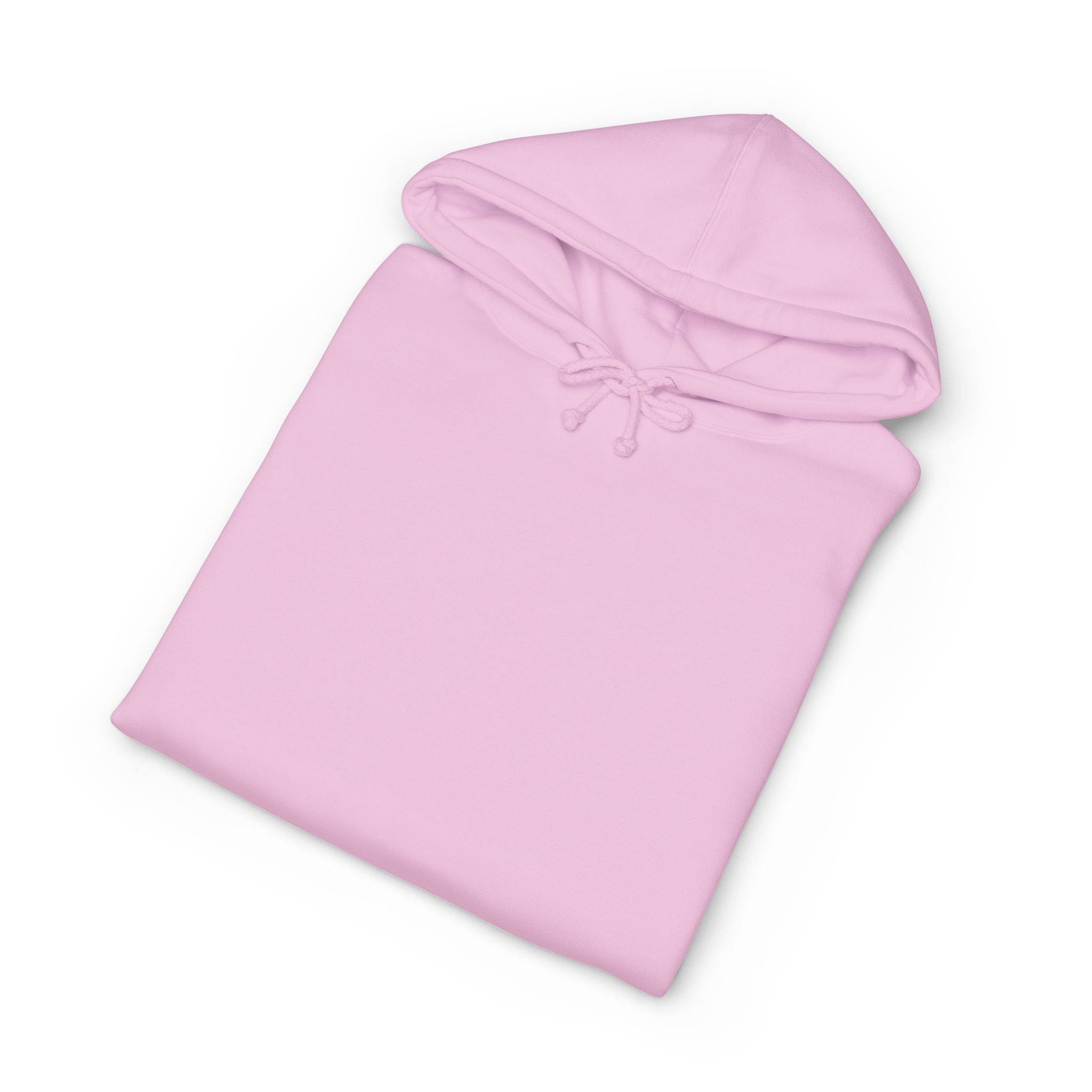 Hoodie — "Today's Not the Day" Highland Cow Graphic Hoodie